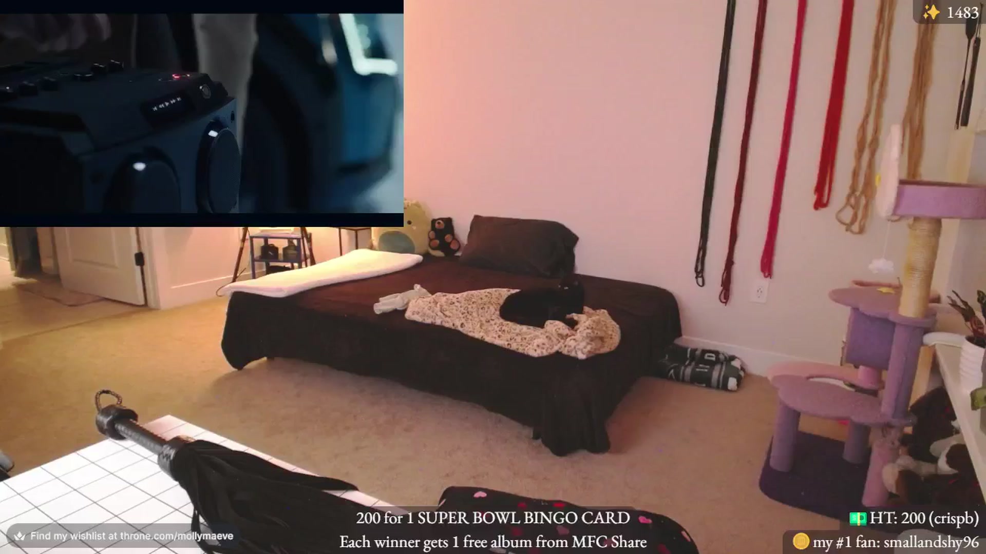 Gallery image thumbnail from MollyMaeve's myfreecams stream on, 02/12/2024, 04:10 image 3 of 20