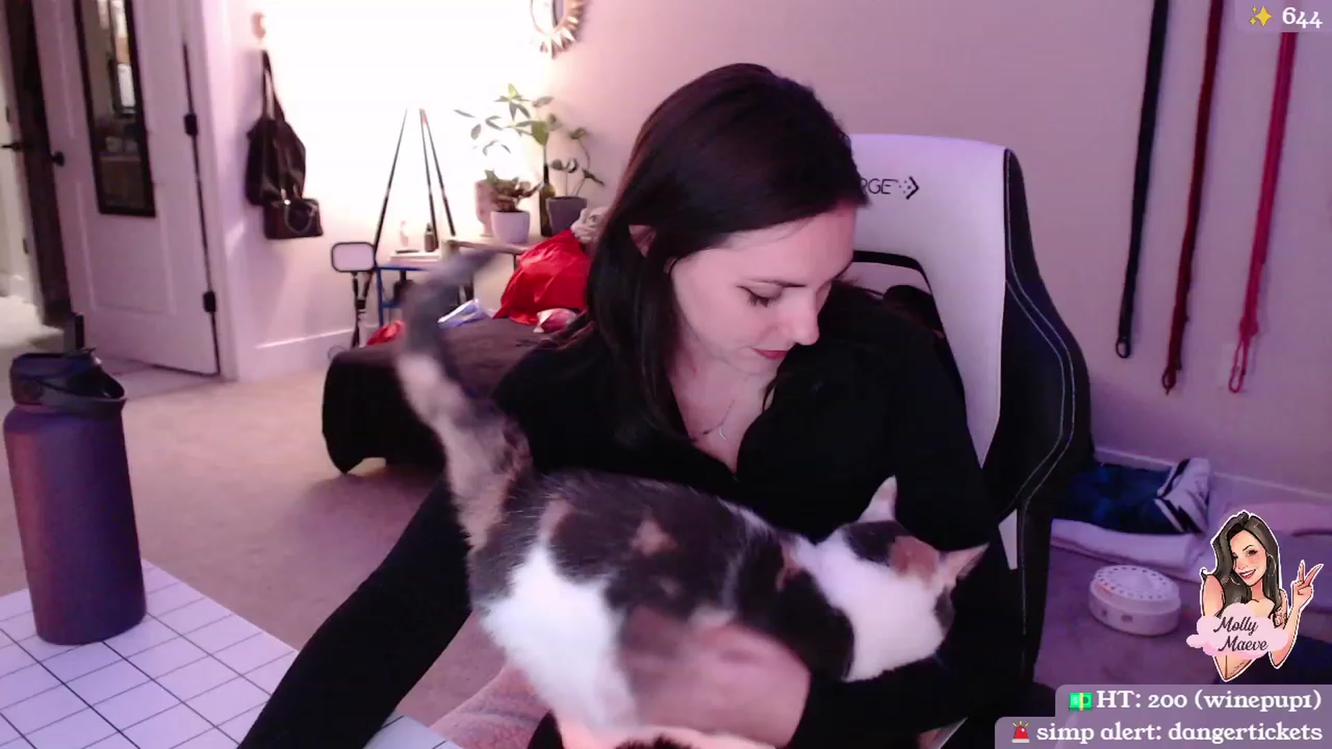 Gallery image thumbnail from MollyMaeve's myfreecams stream on, 03/12/2024, 03:05 image 1 of 20