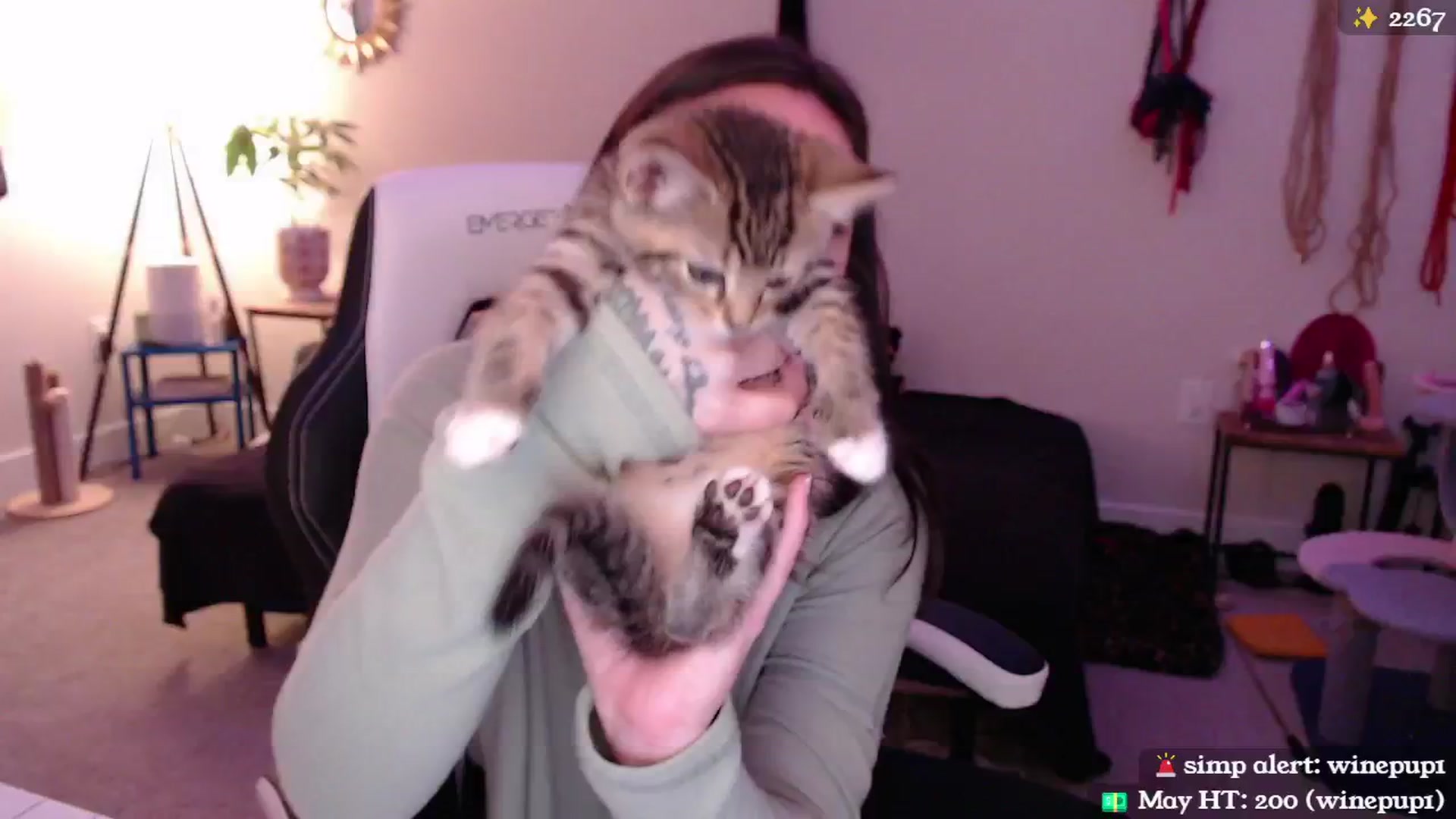 Gallery image thumbnail from MollyMaeve's myfreecams stream on, 05/04/2024, 02:38 image 2 of 20