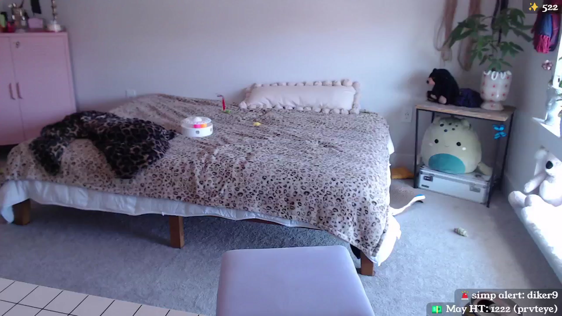 Gallery image thumbnail from MollyMaeve's myfreecams stream on, 05/26/2024, 18:48 image 16 of 20