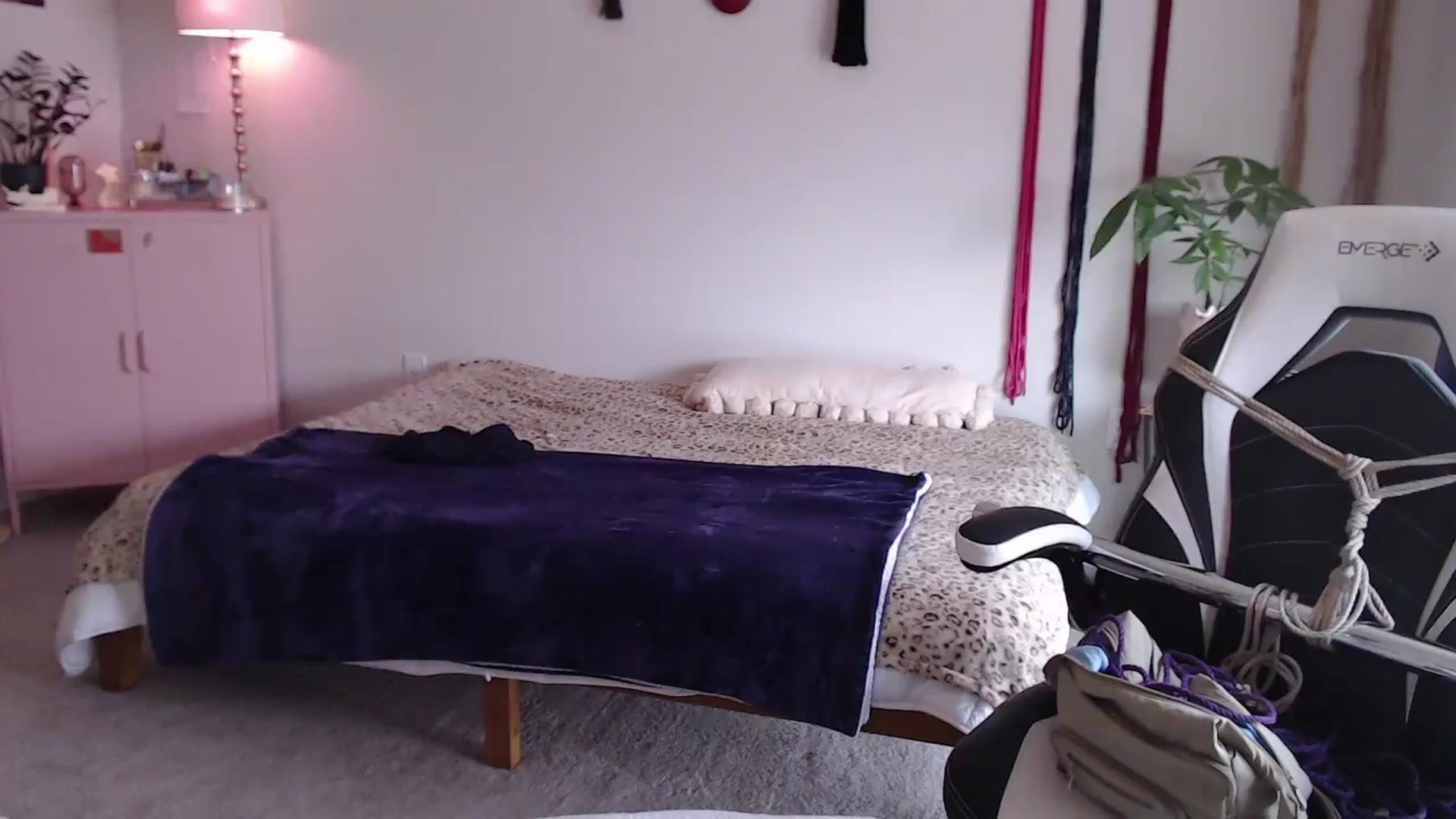 Gallery image thumbnail from MollyMaeve's myfreecams stream on, 06/14/2024, 20:59 image 20 of 20