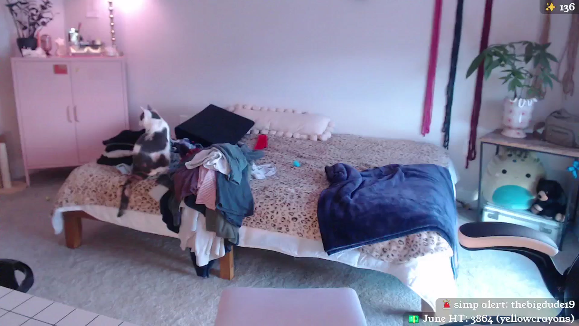 Gallery image thumbnail from MollyMaeve's myfreecams stream on, 06/26/2024, 19:17 image 20 of 20