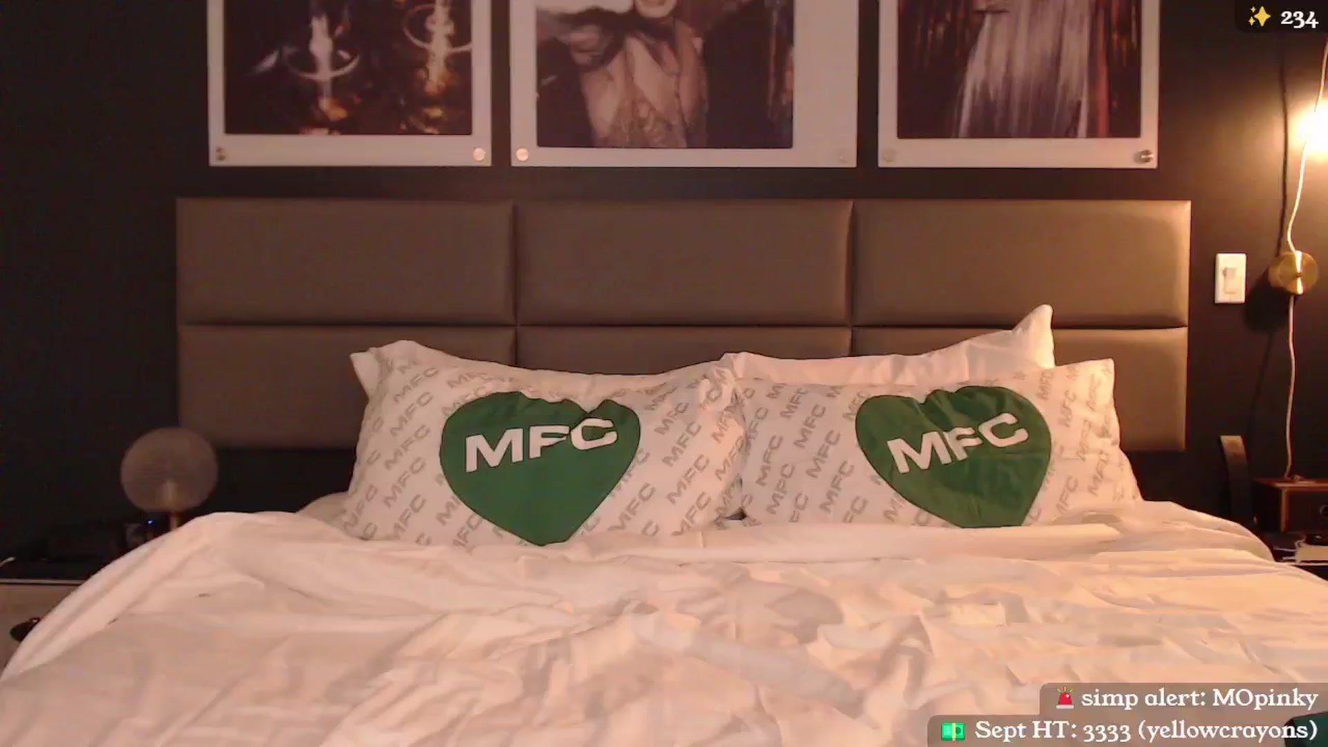 Gallery image thumbnail from MollyMaeve's myfreecams stream on, 09/24/2024, 06:03 image 12 of 20