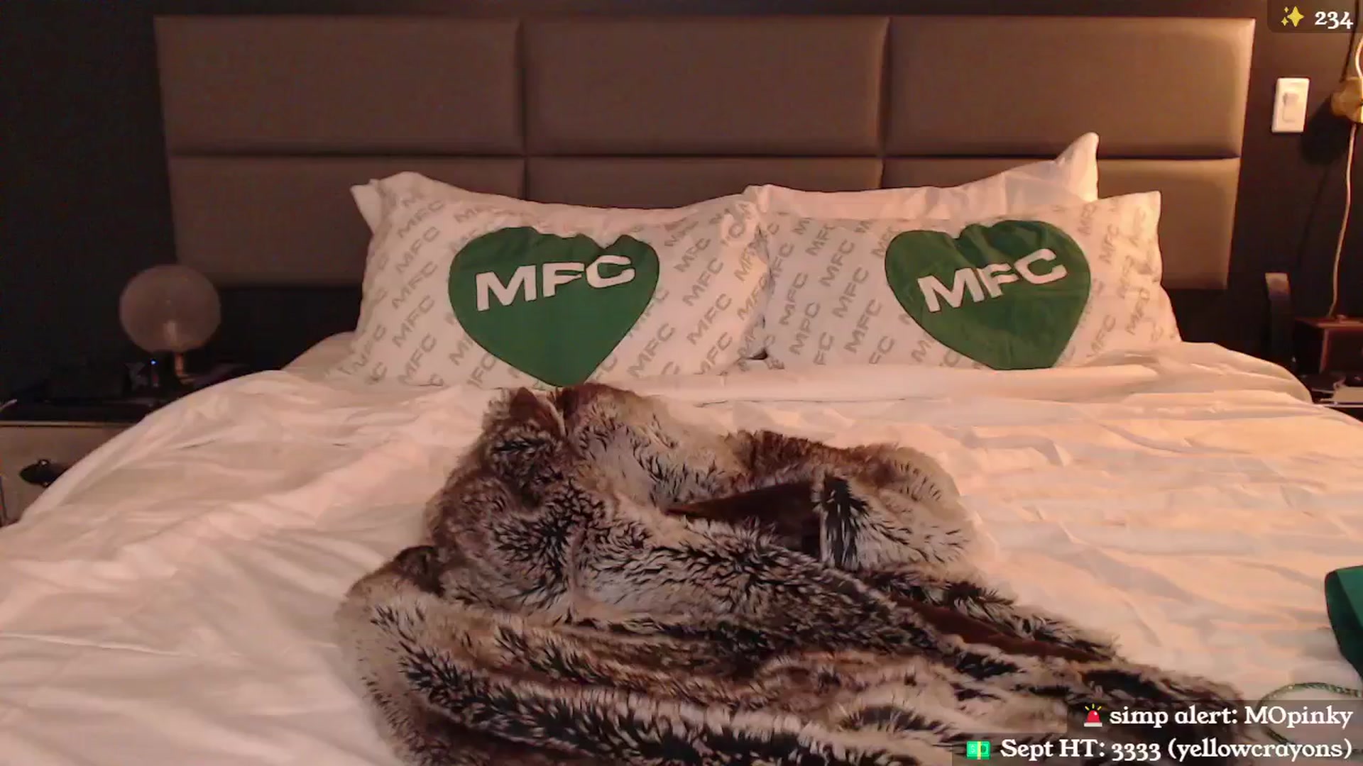 Gallery image thumbnail from MollyMaeve's myfreecams stream on, 09/24/2024, 06:03 image 18 of 20