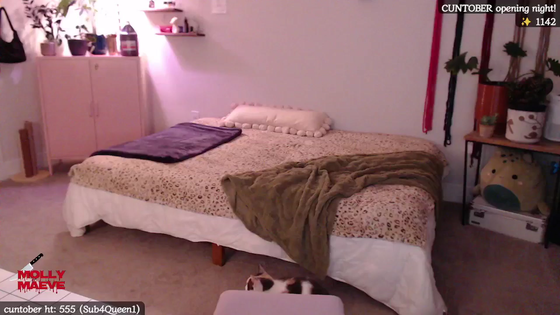 Gallery image thumbnail from MollyMaeve's myfreecams stream on, 10/02/2024, 04:15 image 8 of 20