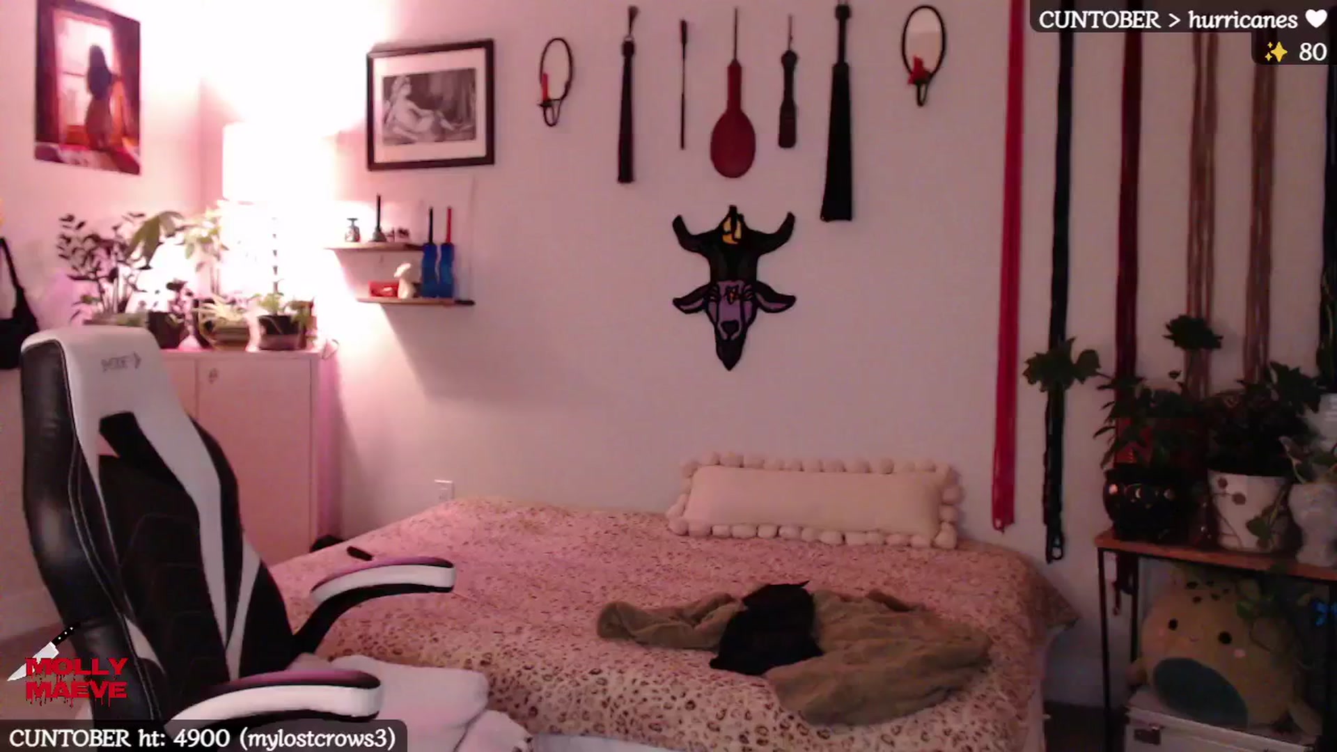 Gallery image thumbnail from MollyMaeve's myfreecams stream on, 10/10/2024, 03:45 image 9 of 20