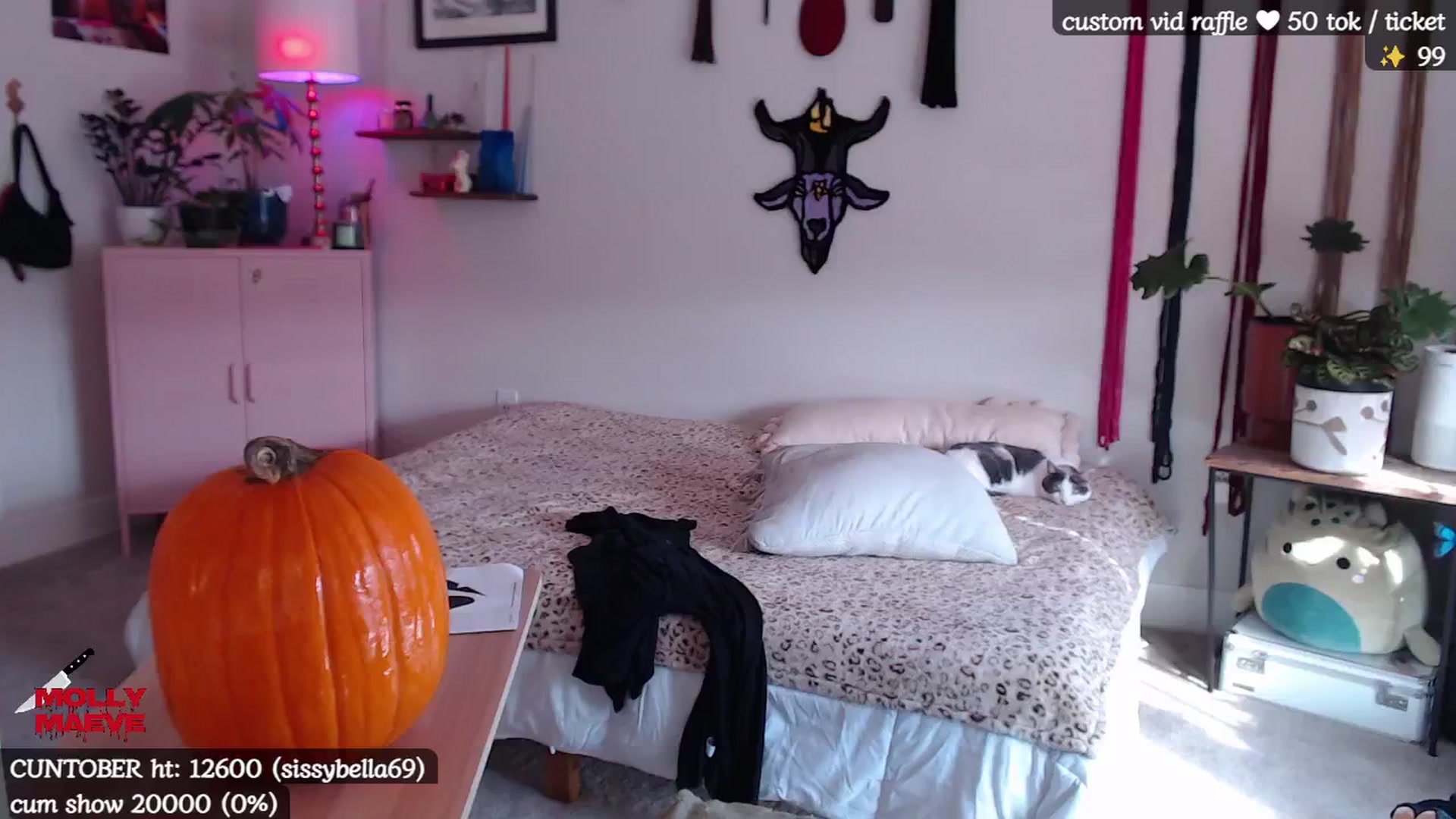 Gallery image thumbnail from MollyMaeve's myfreecams stream on, 10/20/2024, 19:46 image 1 of 20