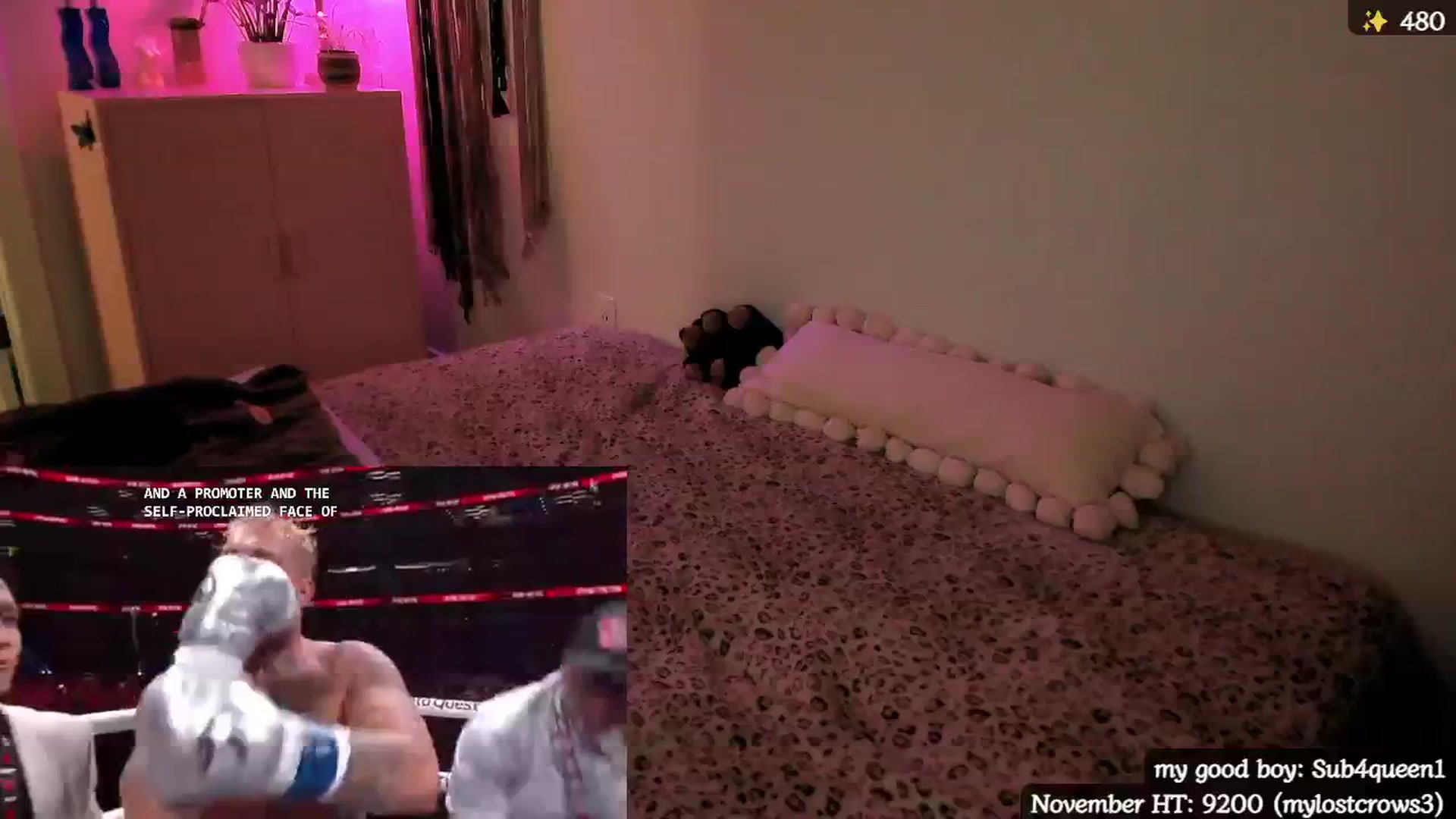 Gallery image thumbnail from MollyMaeve's myfreecams stream on, 11/16/2024, 06:02 image 17 of 20