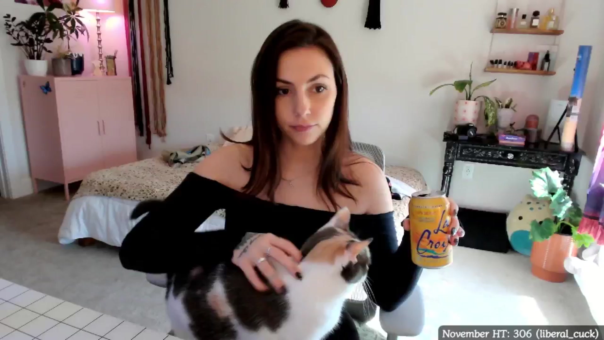 Gallery image thumbnail from MollyMaeve's myfreecams stream on, 12/08/2024, 18:49 image 5 of 20