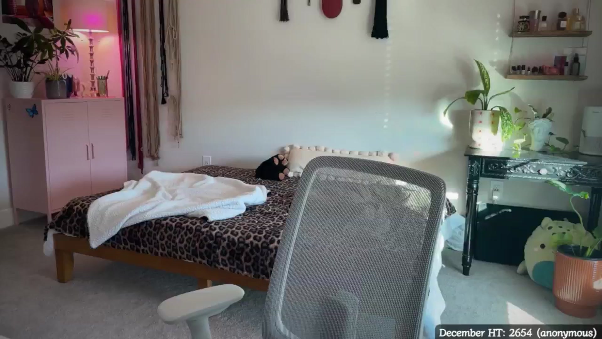 Gallery image thumbnail from MollyMaeve's myfreecams stream on, 12/22/2024, 21:00 image 11 of 20