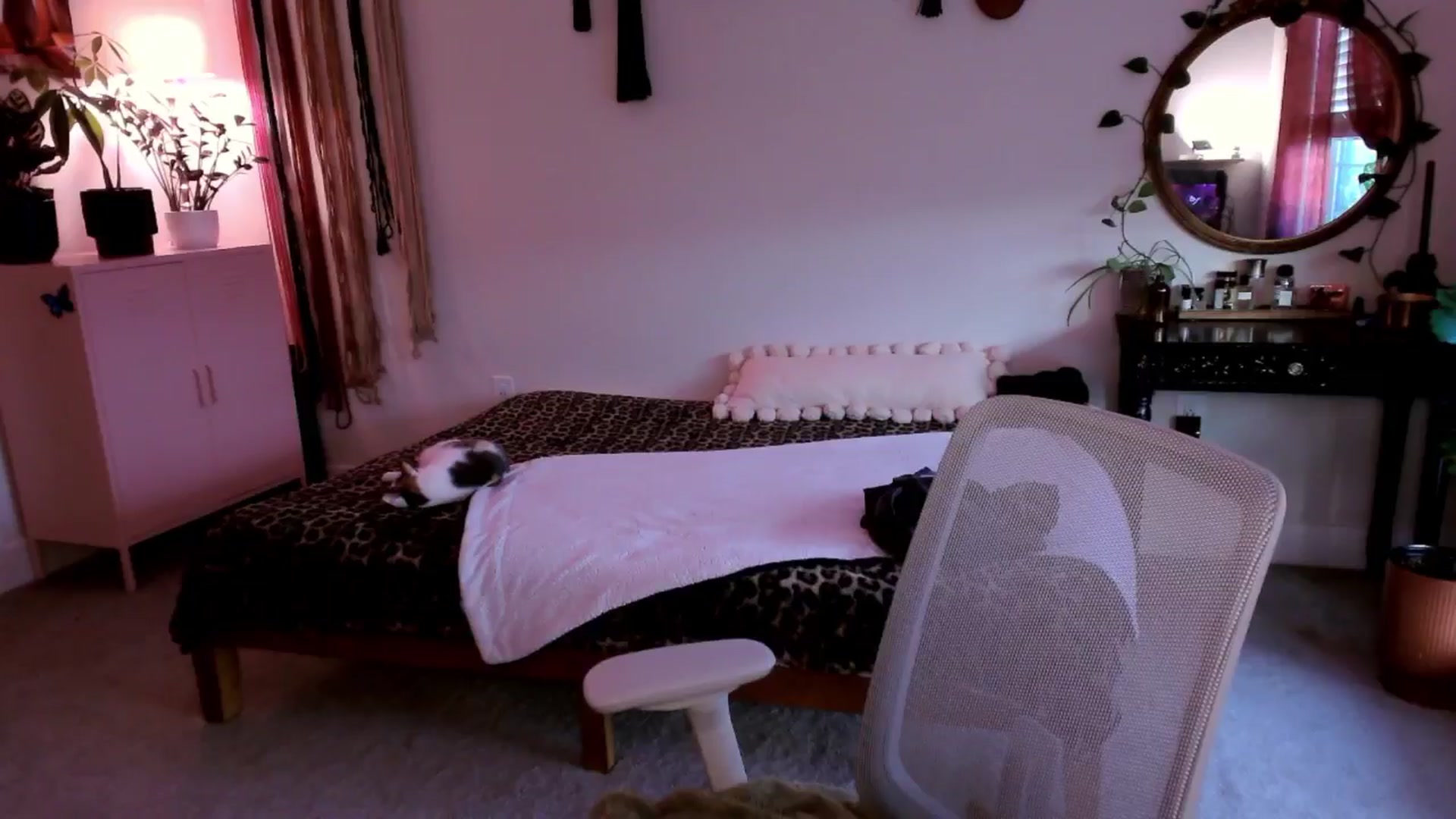 Gallery image thumbnail from MollyMaeve's myfreecams stream on, 02/24/2025, 24:08 image 14 of 20
