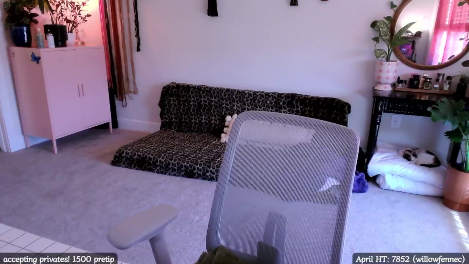 Gallery image thumbnail from MollyMaeve's myfreecams stream on, 04/16/2025, 18:11 image 11 of 20