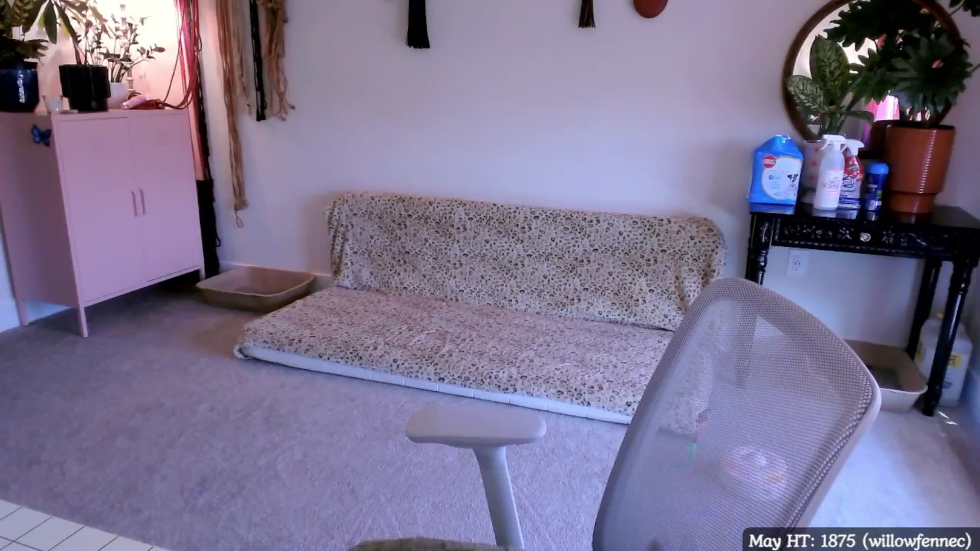 Gallery image thumbnail from MollyMaeve's myfreecams stream on, 05/16/2025, 19:48 image 6 of 20