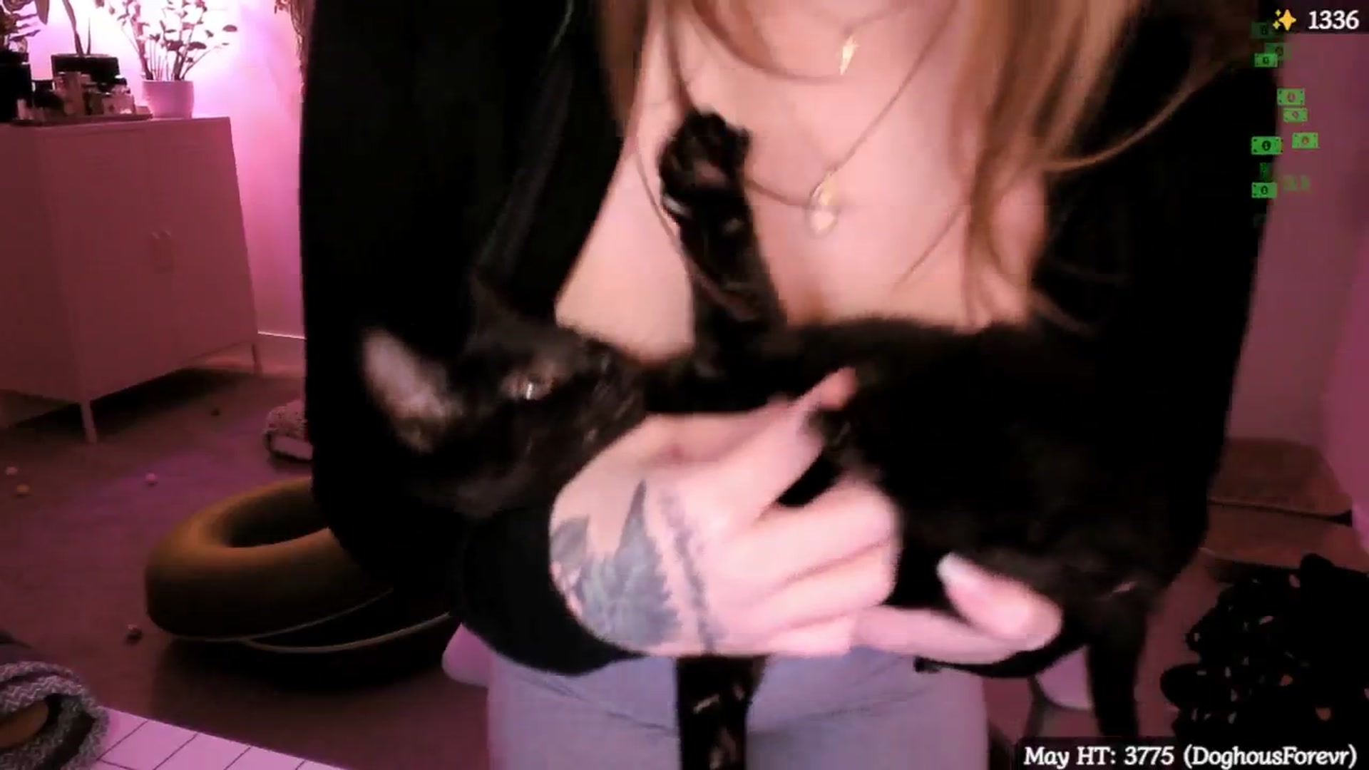 Gallery image thumbnail from MollyMaeve's myfreecams stream on, 05/31/2025, 04:30 image 17 of 20