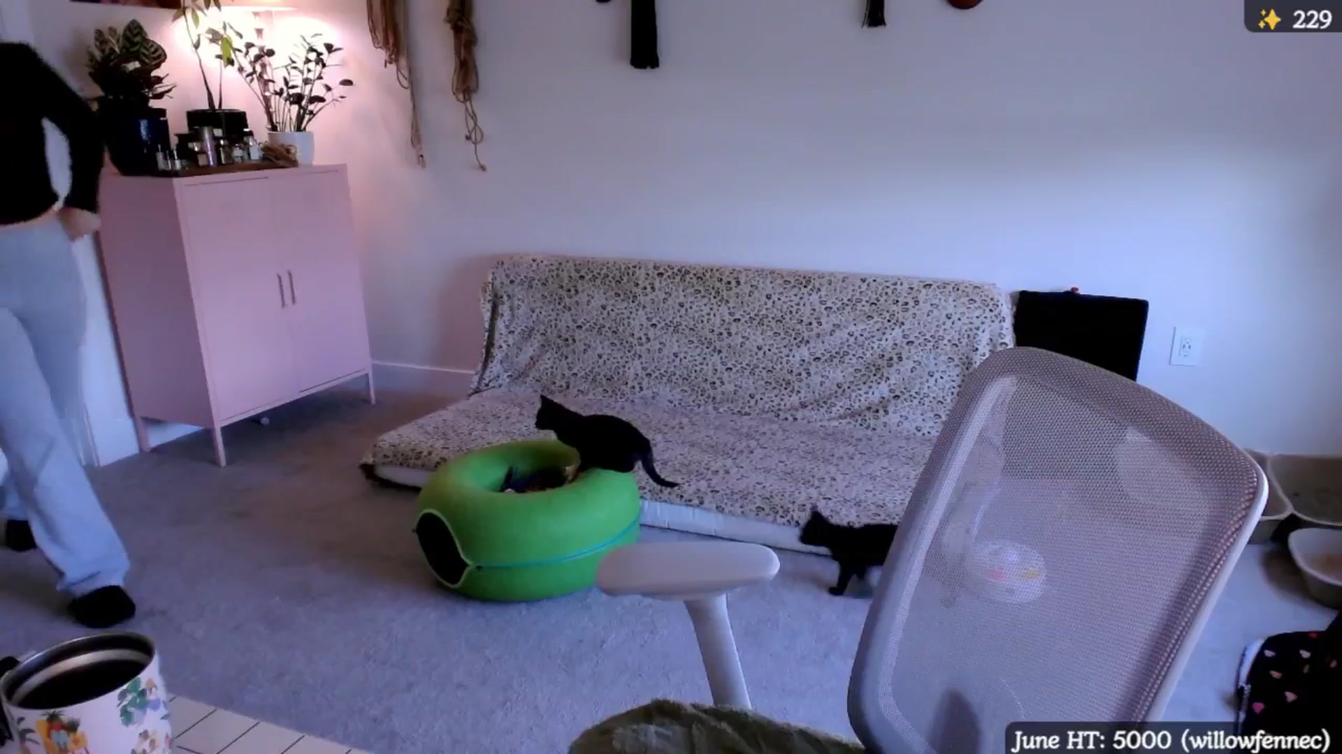 Gallery image thumbnail from MollyMaeve's myfreecams stream on, 06/06/2025, 23:28 image 10 of 20