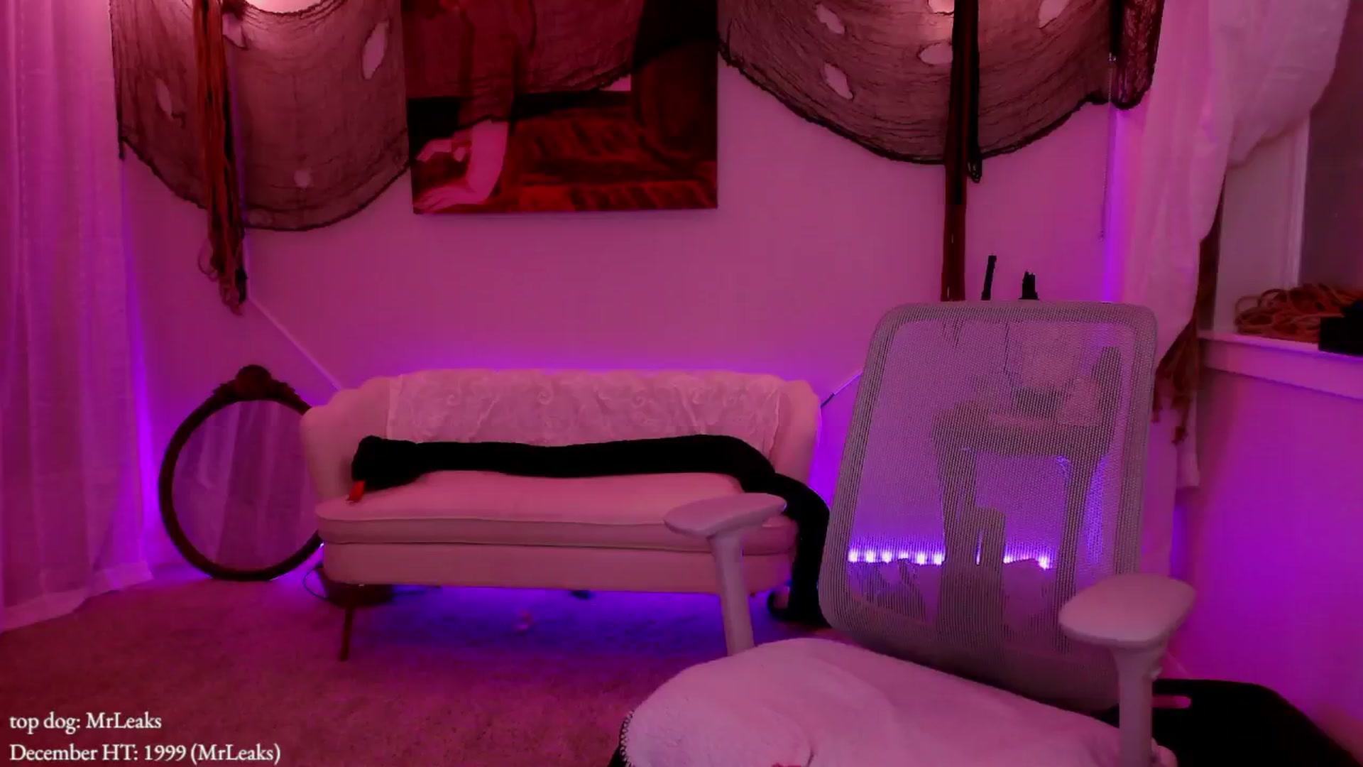 Gallery image thumbnail from MollyMaeve's myfreecams stream on, 12/18/2025, 02:34 image 18 of 20