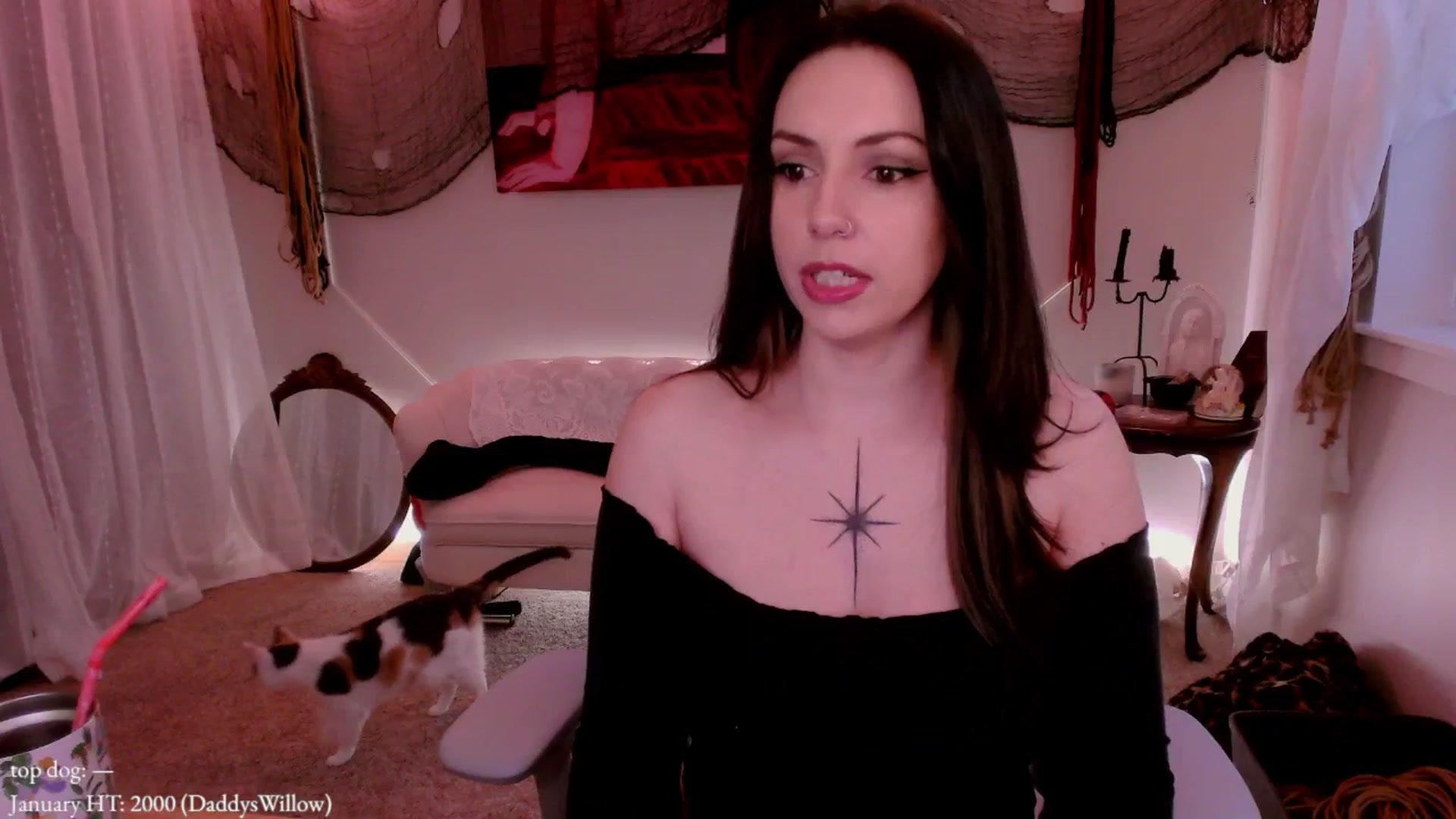 Gallery image thumbnail from MollyMaeve's myfreecams stream on, 01/15/2026, 02:02 image 2 of 20