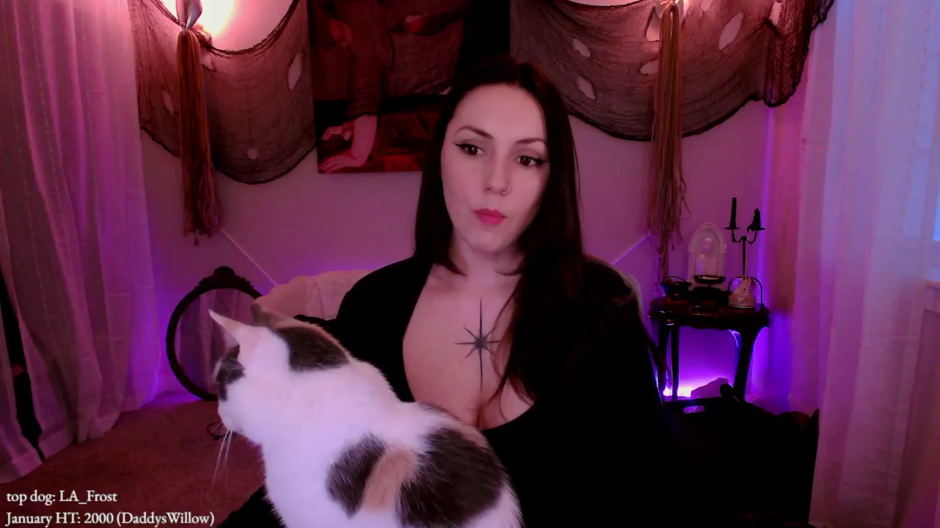 Gallery image thumbnail from MollyMaeve's myfreecams stream on, 01/29/2026, 01:56 image 7 of 20