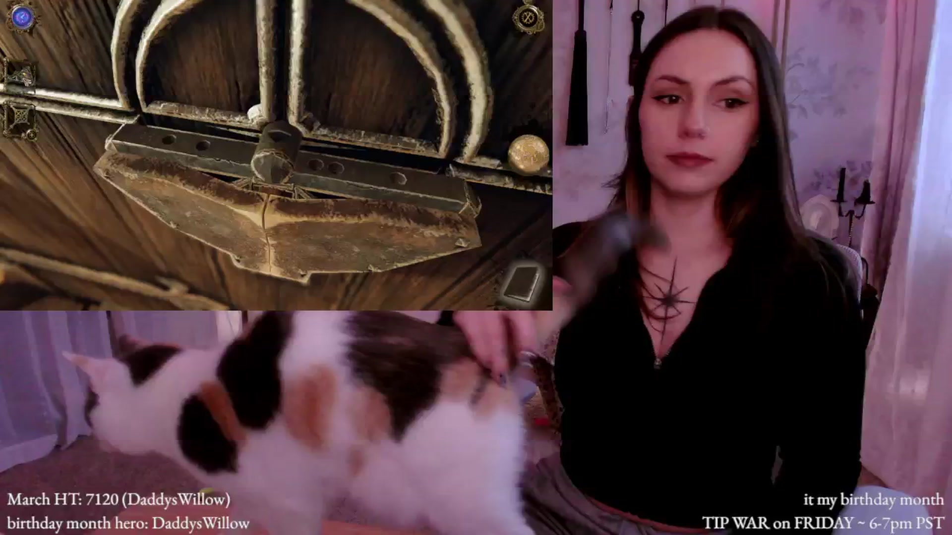 Gallery image thumbnail from MollyMaeve's myfreecams stream on, 03/12/2026, 24:36 image 19 of 20
