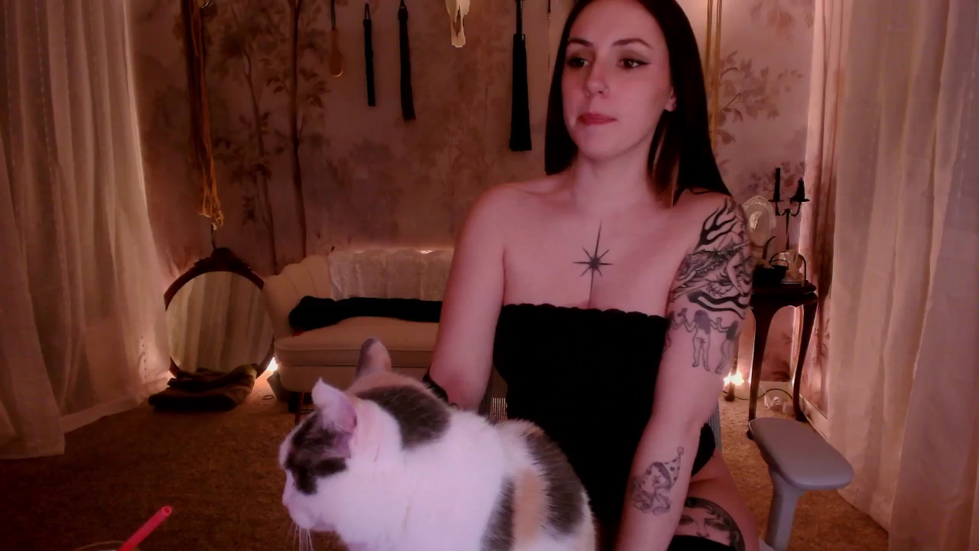 Gallery image thumbnail from MollyMaeve's myfreecams stream on, 04/01/2026, 03:50 image 9 of 20