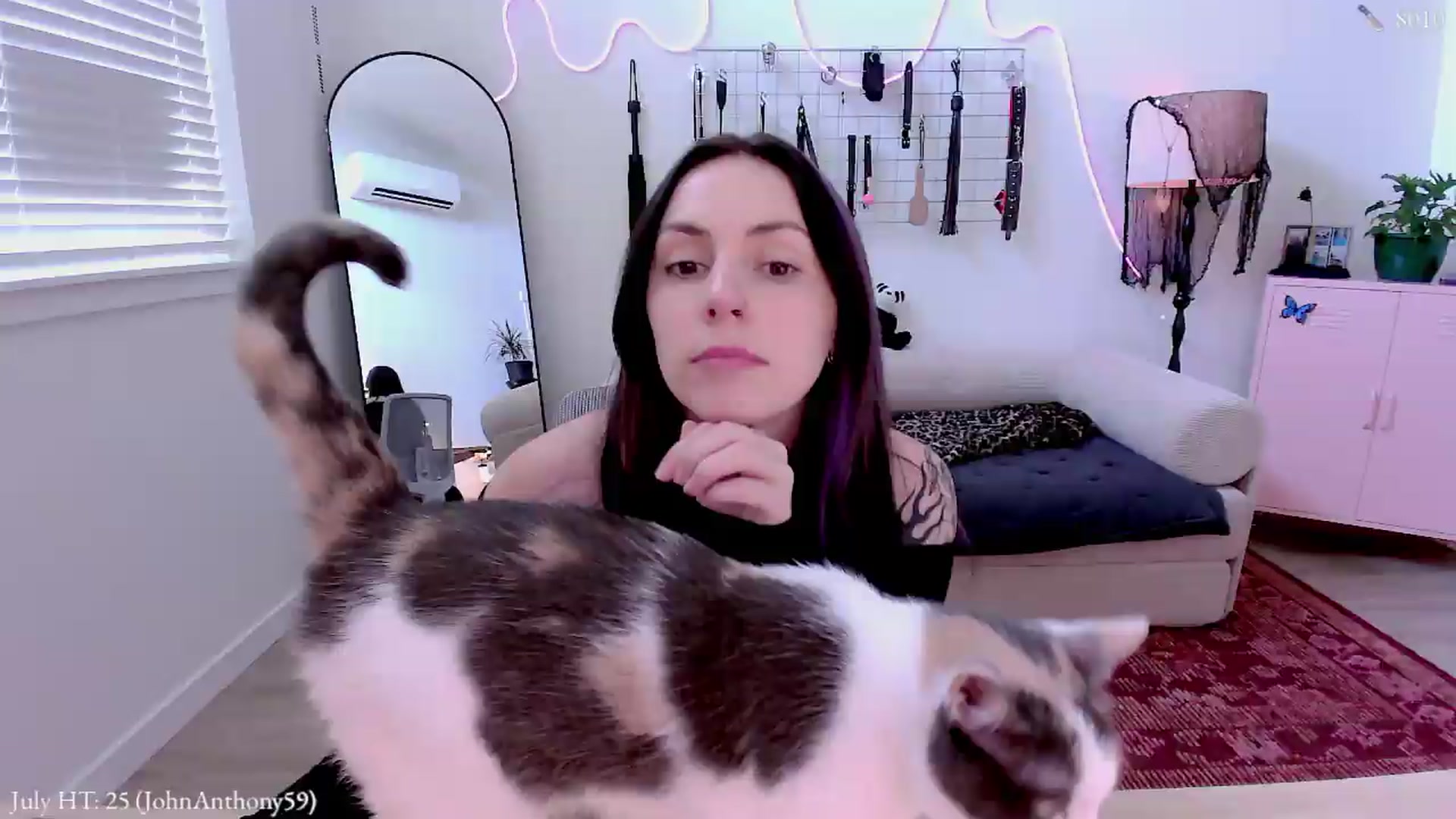 Gallery image thumbnail from MollyMaeve's myfreecams stream on, 07/09/2026, 22:03 image 8 of 20