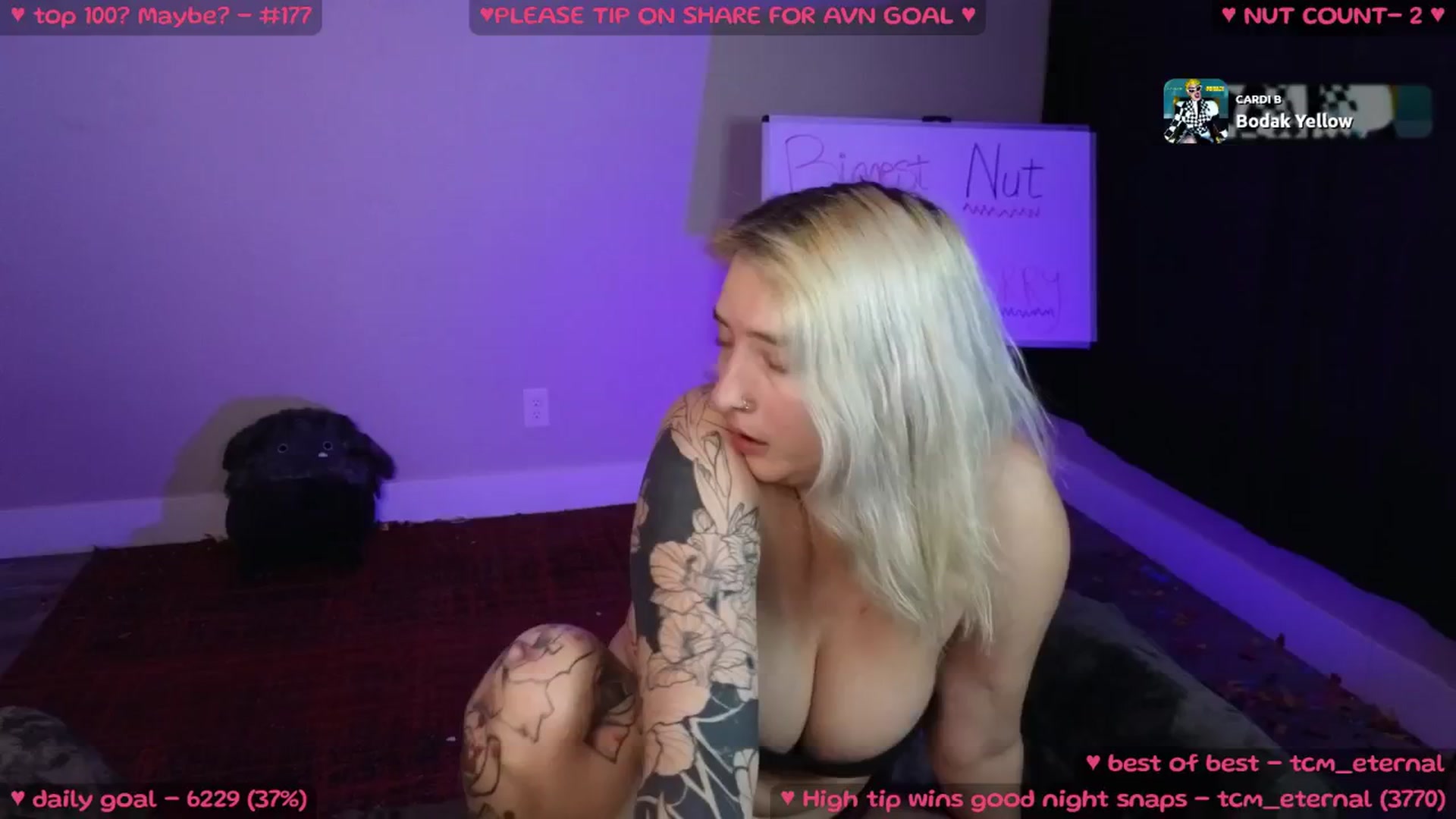 Gallery image thumbnail from MollyMeowz's myfreecams stream on, 11/02/2024, 20:04 image 3 of 20