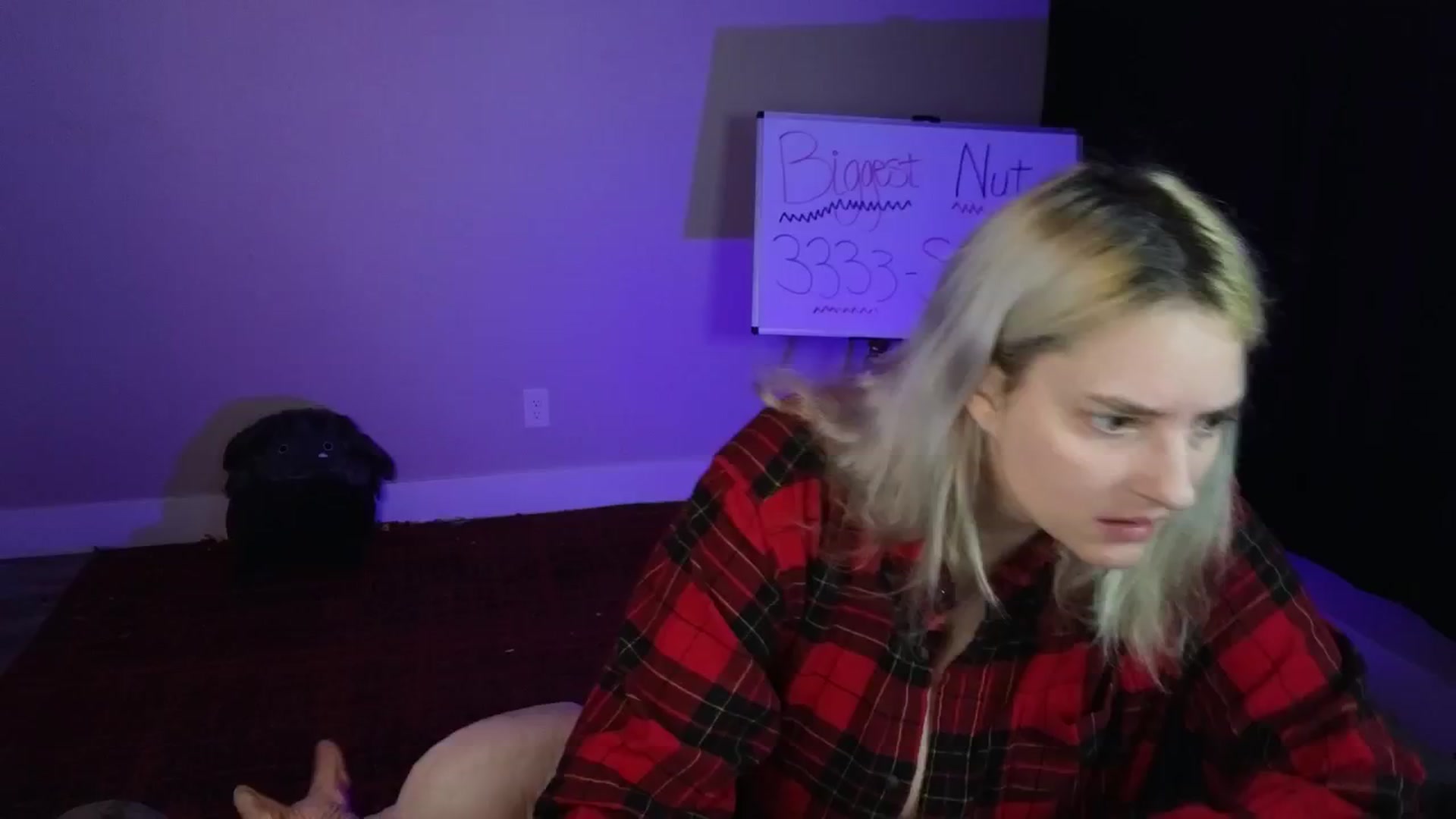 Gallery image thumbnail from MollyMeowz's myfreecams stream on, 11/02/2024, 20:04 image 1 of 20