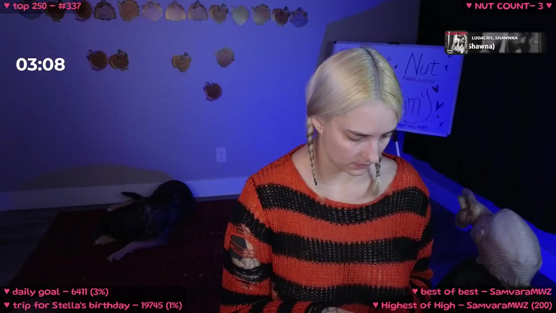 Gallery image thumbnail from MollyMeowz's myfreecams stream on, 11/14/2024, 01:32 image 5 of 20