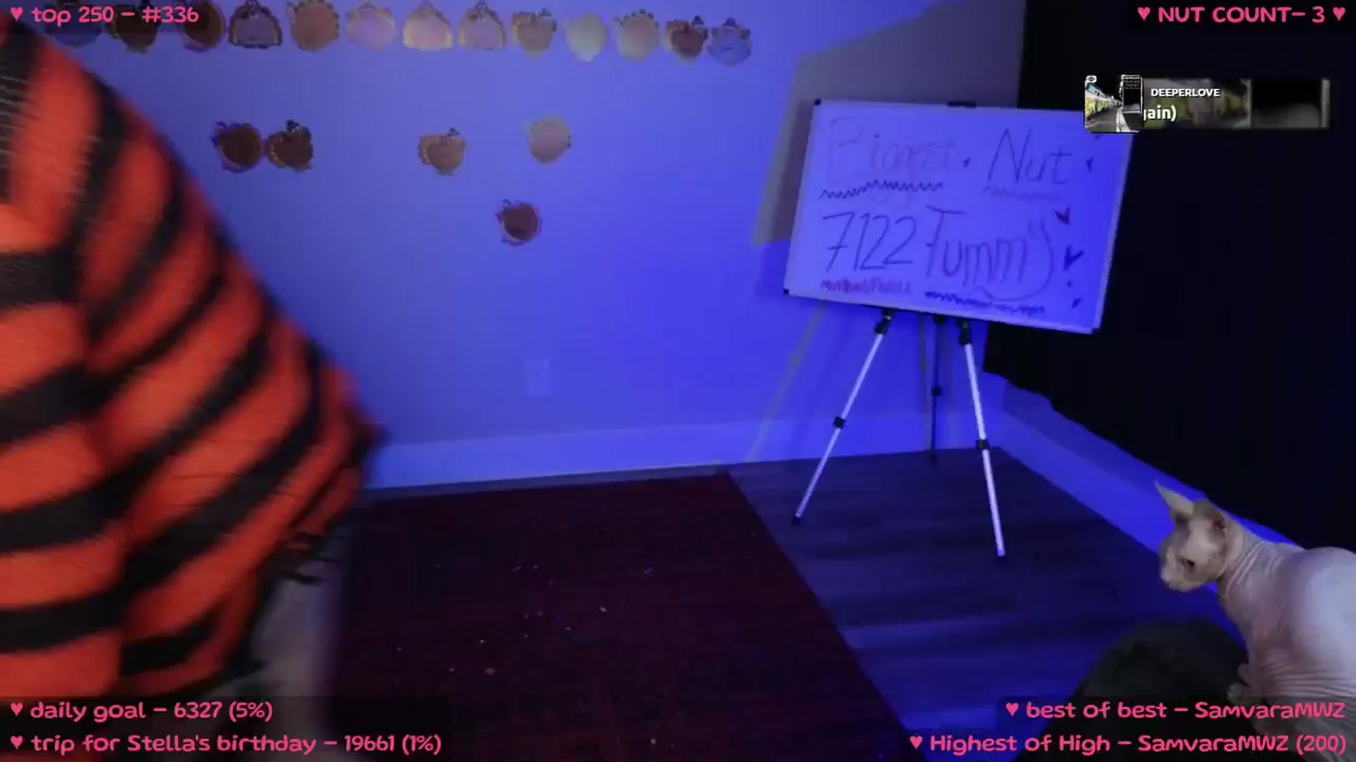 Gallery image thumbnail from MollyMeowz's myfreecams stream on, 11/14/2024, 01:32 image 6 of 20