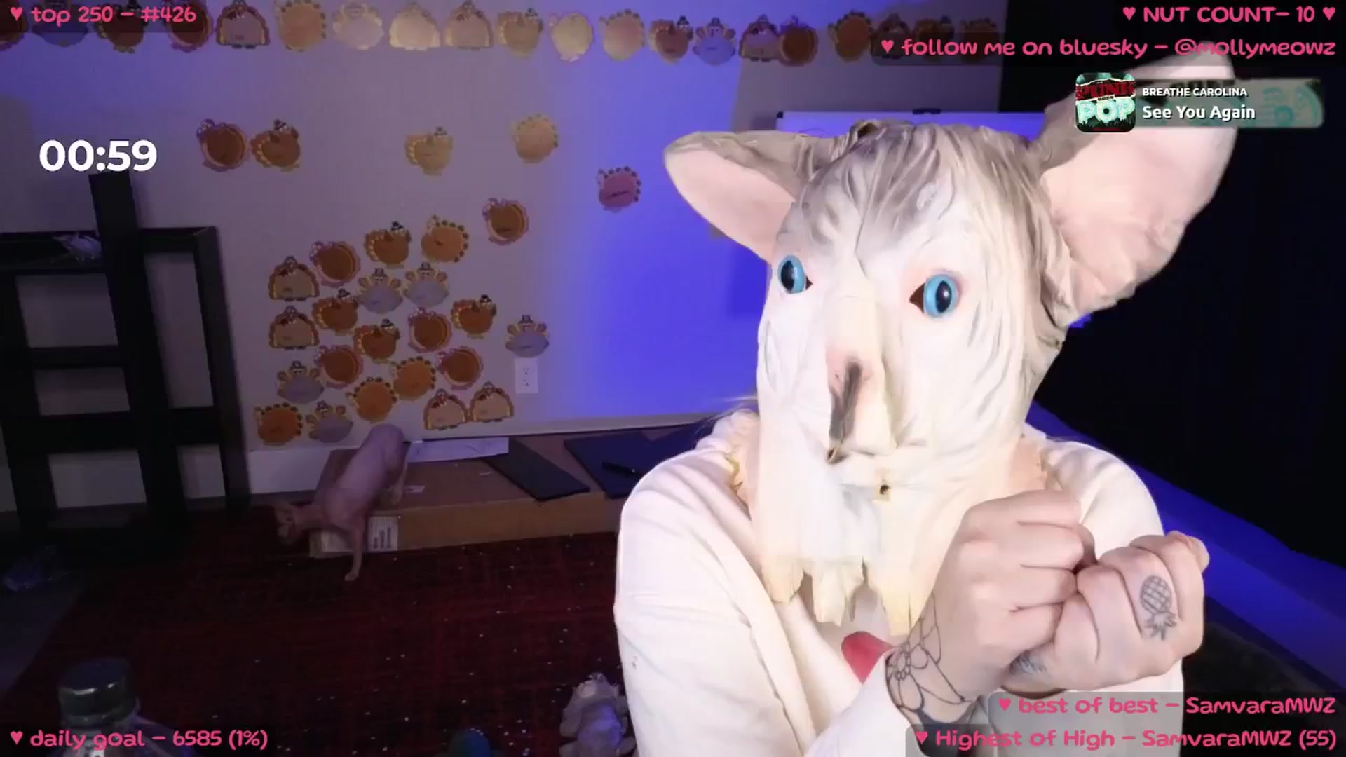 Gallery image thumbnail from MollyMeowz's myfreecams stream on, 11/22/2024, 04:31 image 3 of 20