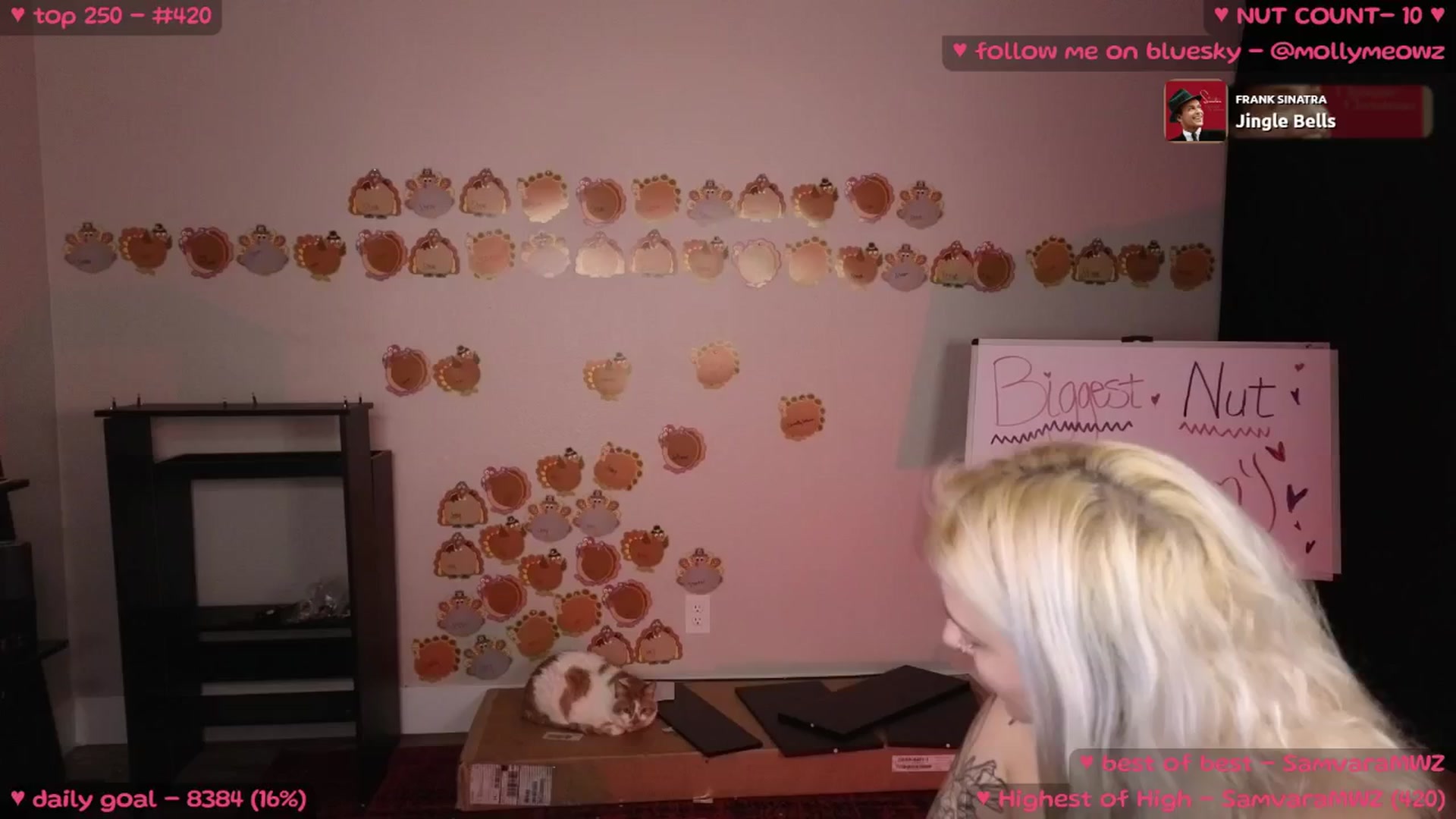 Gallery image thumbnail from MollyMeowz's myfreecams stream on, 11/23/2024, 24:53 image 18 of 20