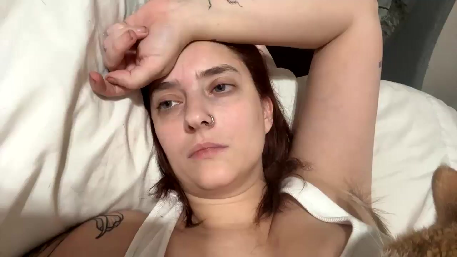 Gallery image thumbnail from MollyMeowz's myfreecams stream on, 12/10/2024, 01:40 image 17 of 20