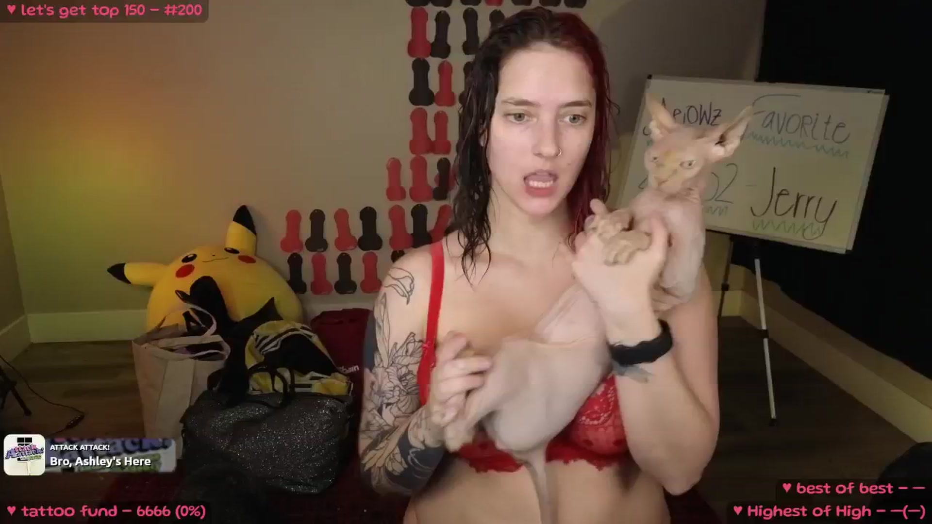 Gallery image thumbnail from MollyMeowz's myfreecams stream on, 01/29/2025, 02:48 image 1 of 20