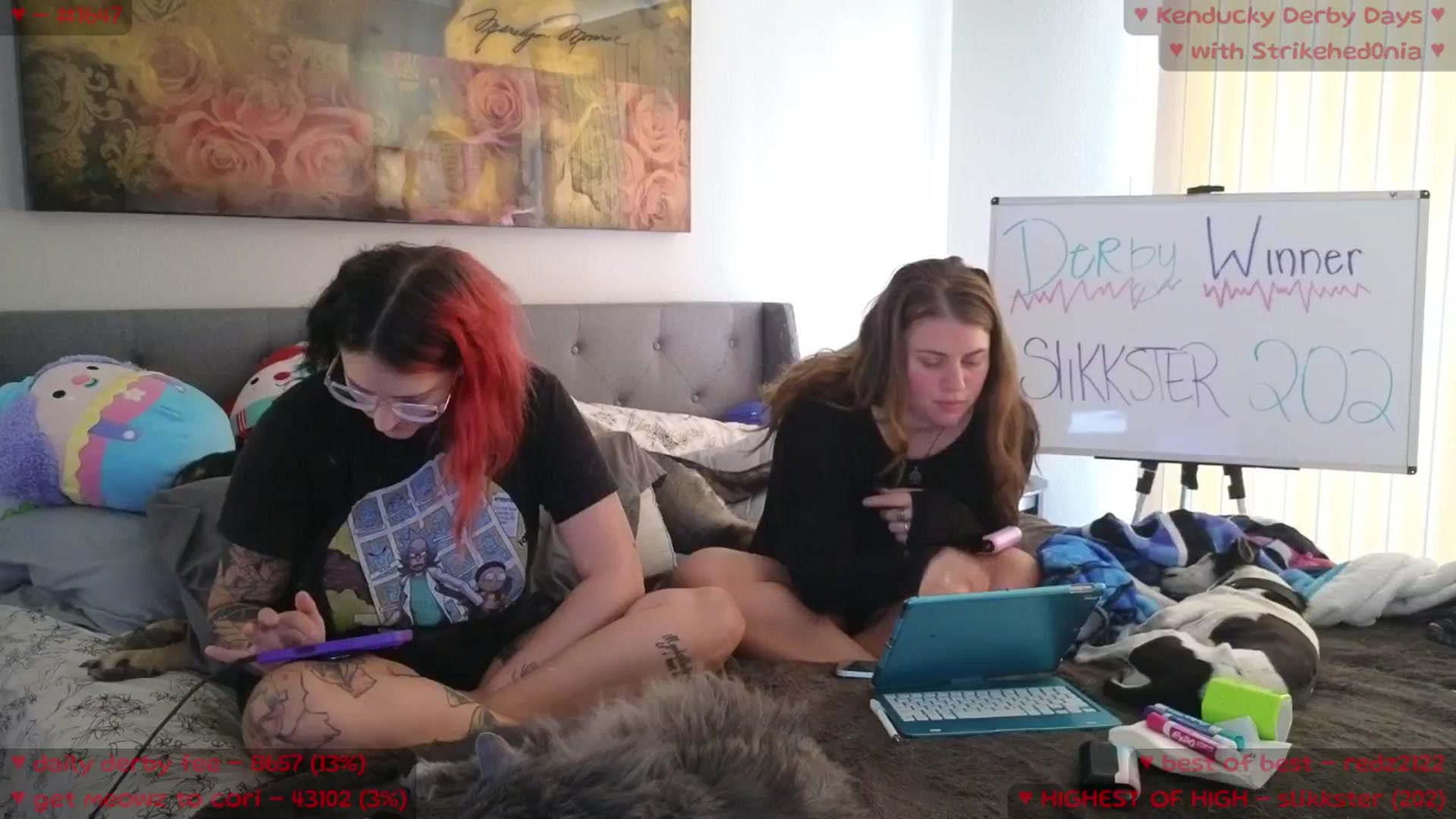 Gallery image thumbnail from MollyMeowz's myfreecams stream on, 05/02/2025, 21:33 image 13 of 20