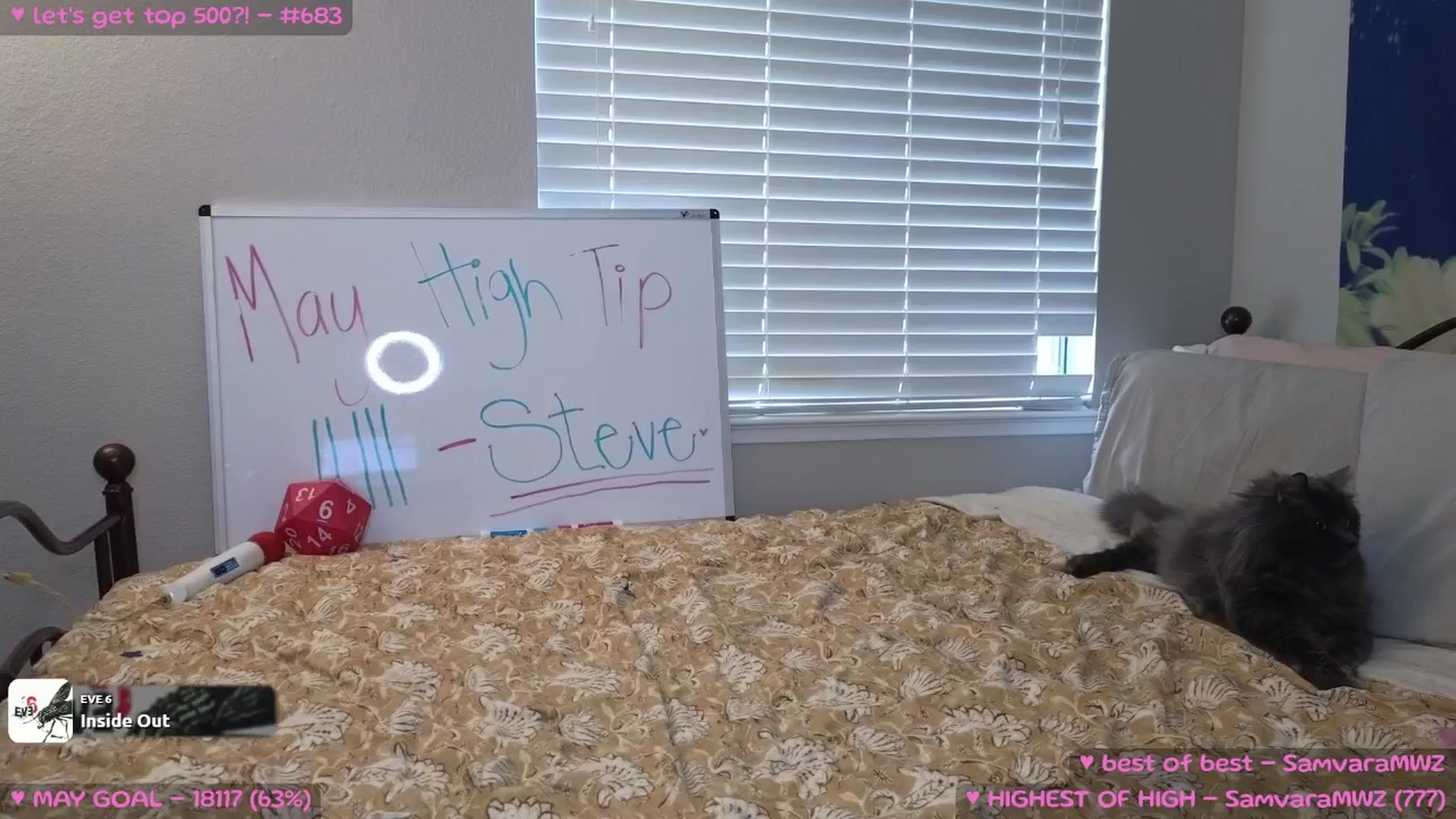 Gallery image thumbnail from MollyMeowz's myfreecams stream on, 06/01/2025, 04:20 image 11 of 20