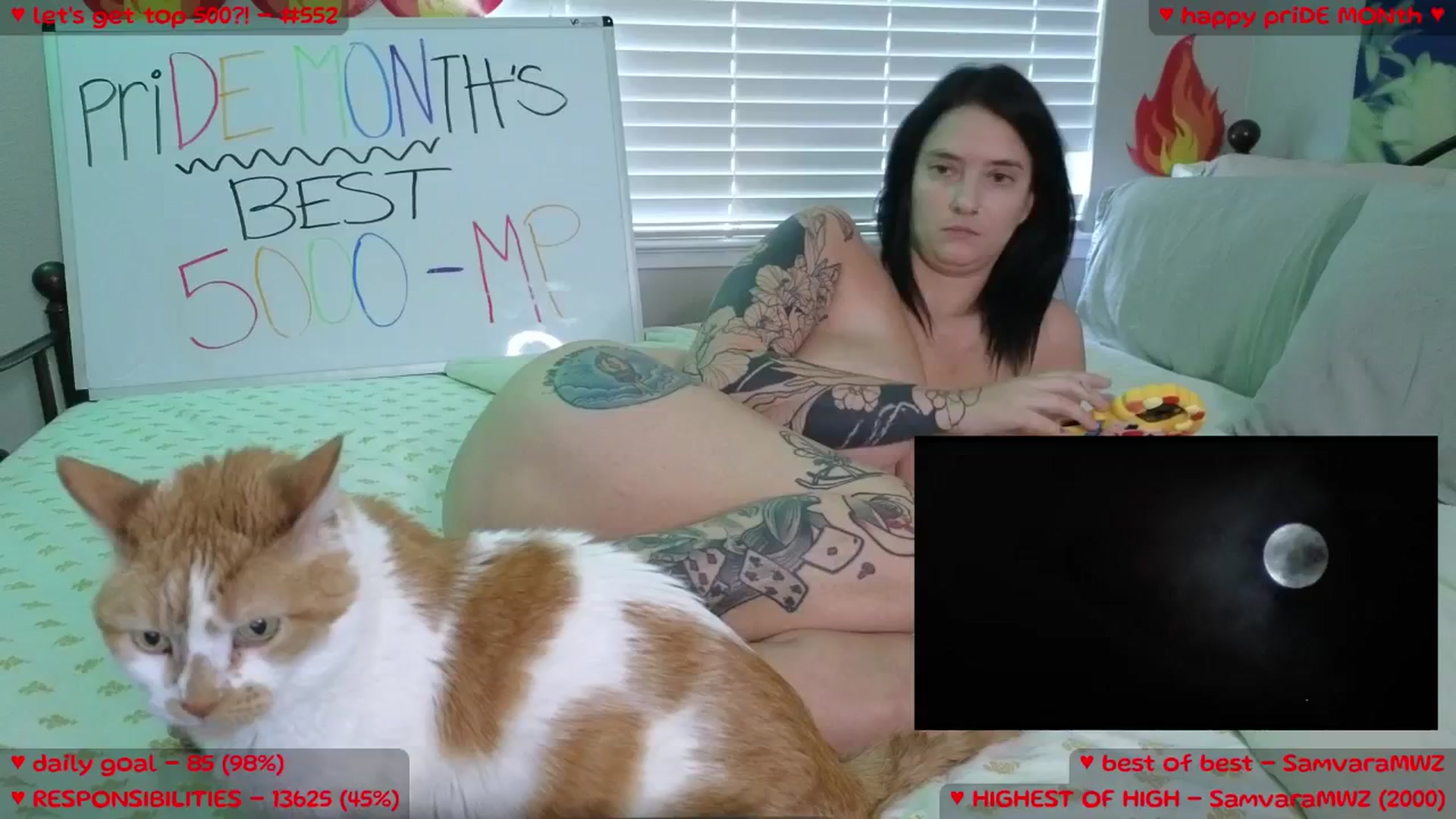 Gallery image thumbnail from MollyMeowz's myfreecams stream on, 06/14/2025, 02:13 image 20 of 20