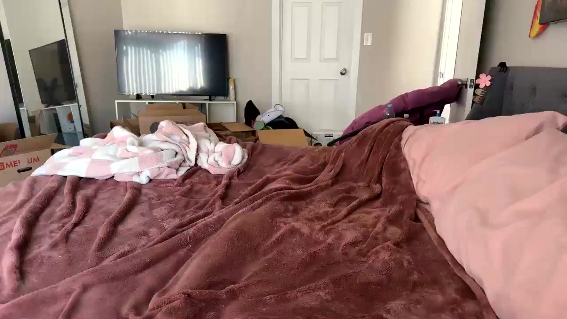 Gallery image thumbnail from MollyMeowz's myfreecams stream on, 08/31/2025, 23:22 image 17 of 20