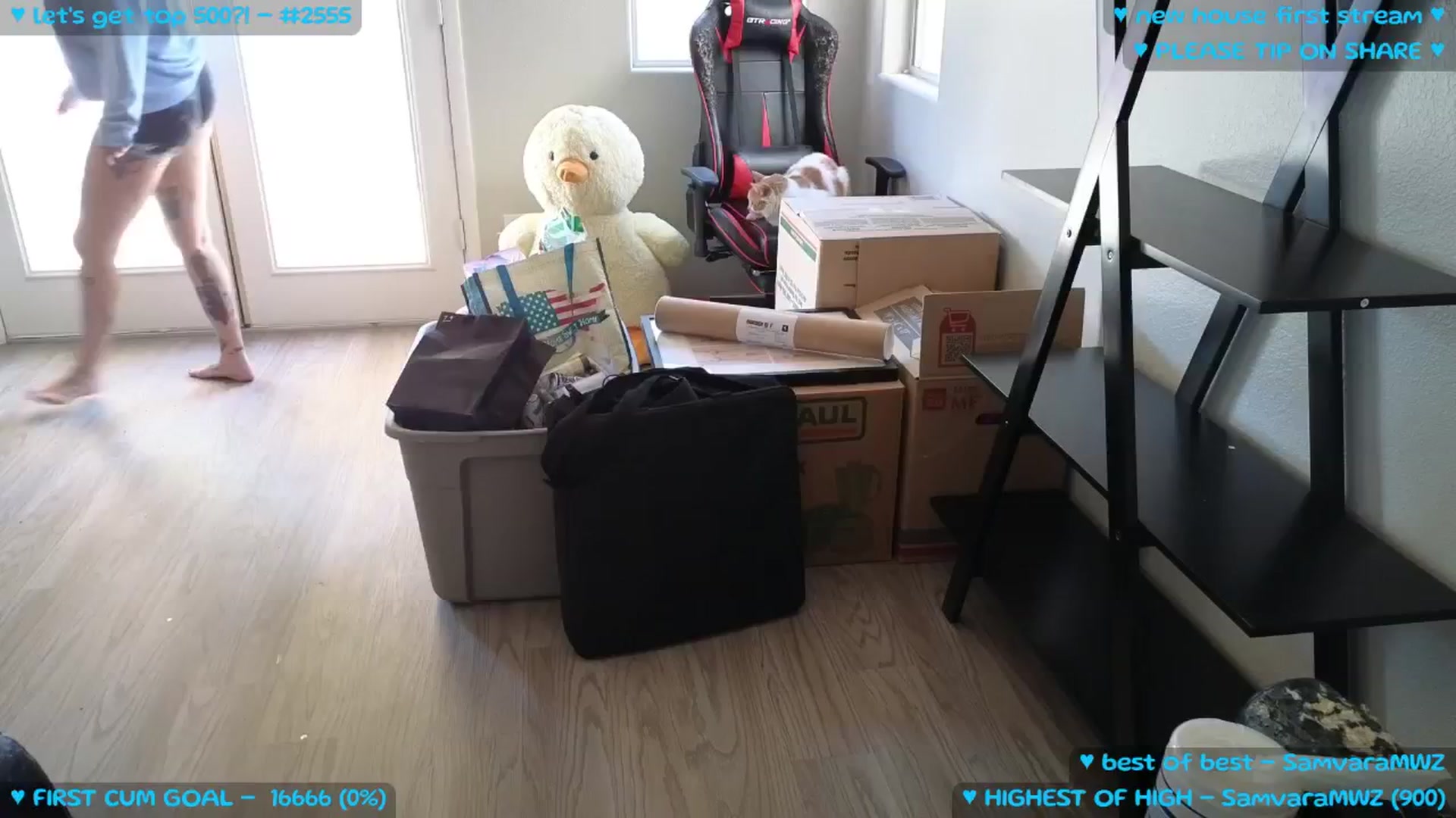 Gallery image thumbnail from MollyMeowz's myfreecams stream on, 09/06/2025, 02:03 image 4 of 20