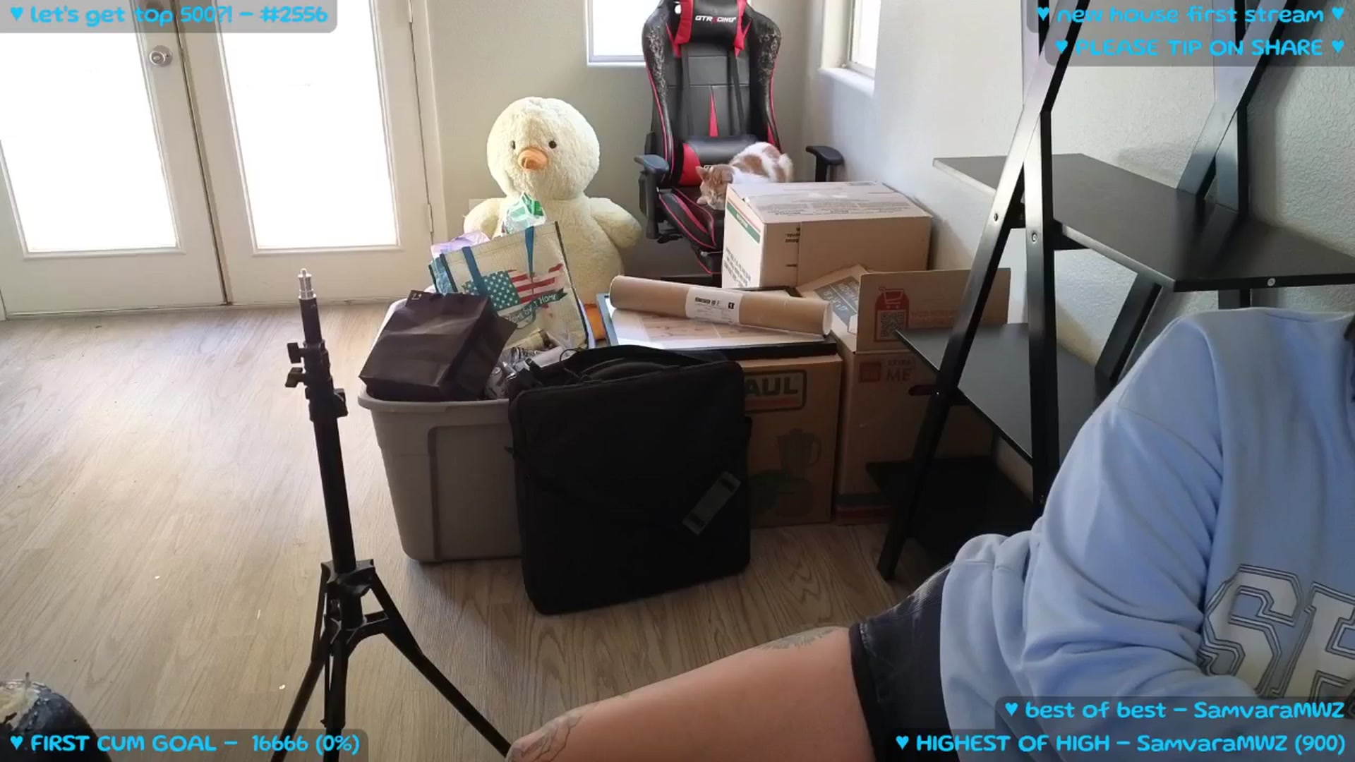 Gallery image thumbnail from MollyMeowz's myfreecams stream on, 09/06/2025, 02:03 image 5 of 20
