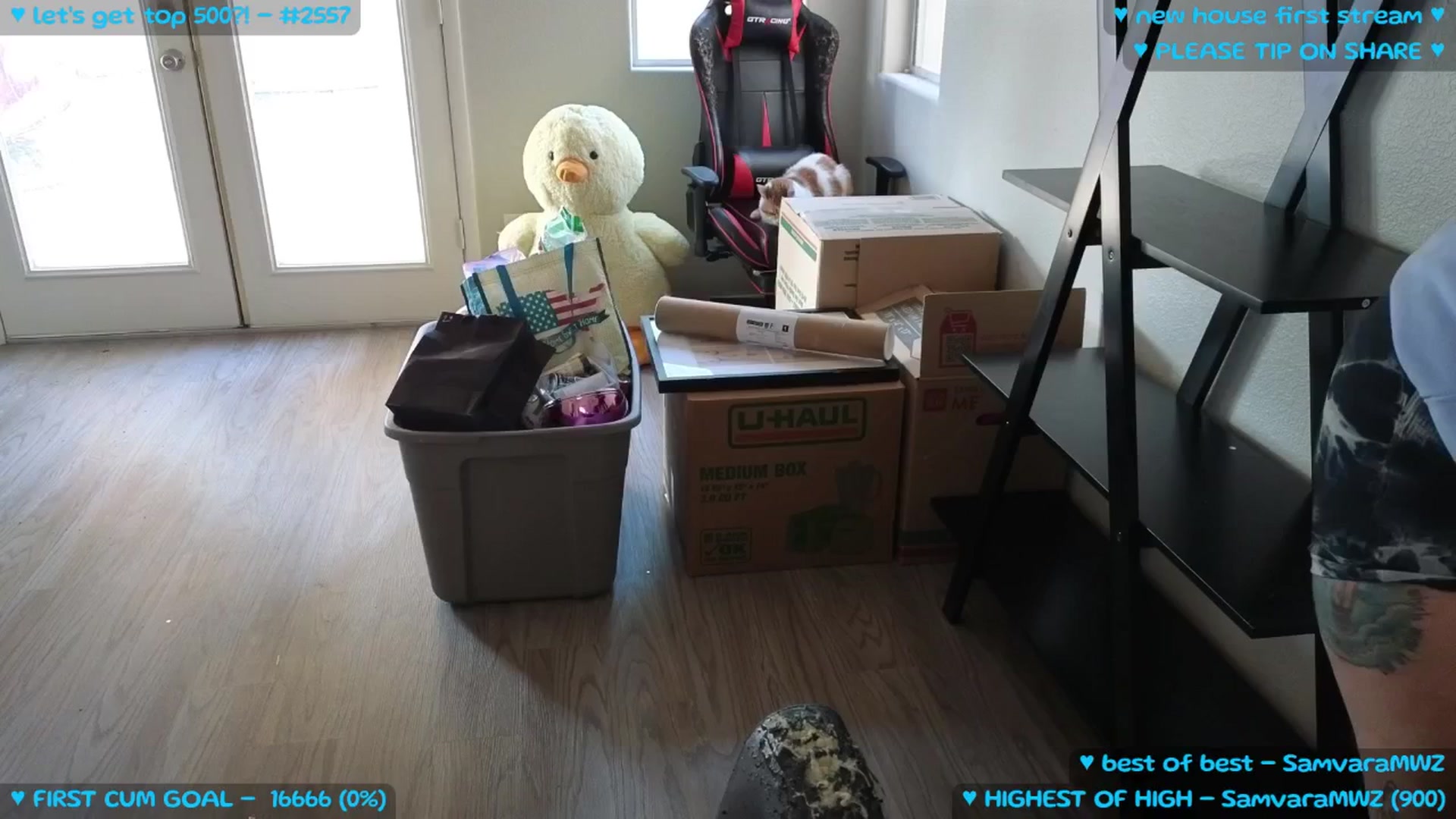 Gallery image thumbnail from MollyMeowz's myfreecams stream on, 09/06/2025, 02:03 image 6 of 20