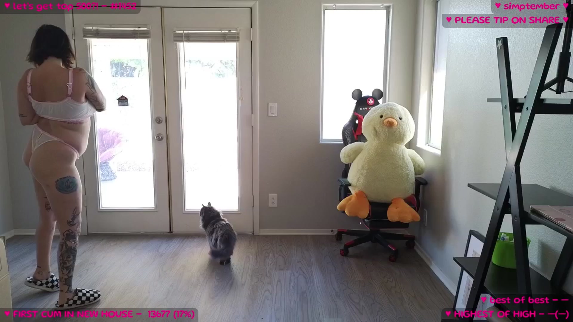 Gallery image thumbnail from MollyMeowz's myfreecams stream on, 09/06/2025, 18:17 image 11 of 20