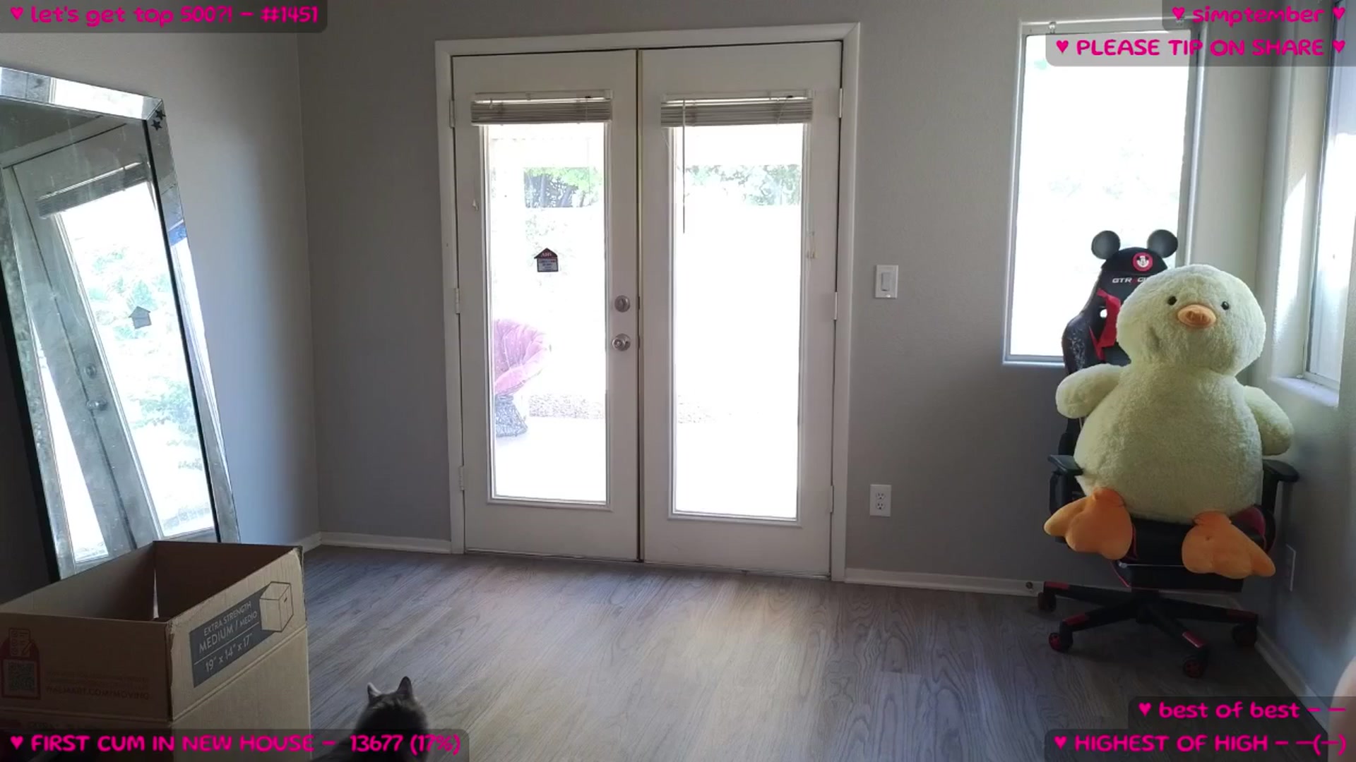Gallery image thumbnail from MollyMeowz's myfreecams stream on, 09/06/2025, 18:17 image 2 of 20