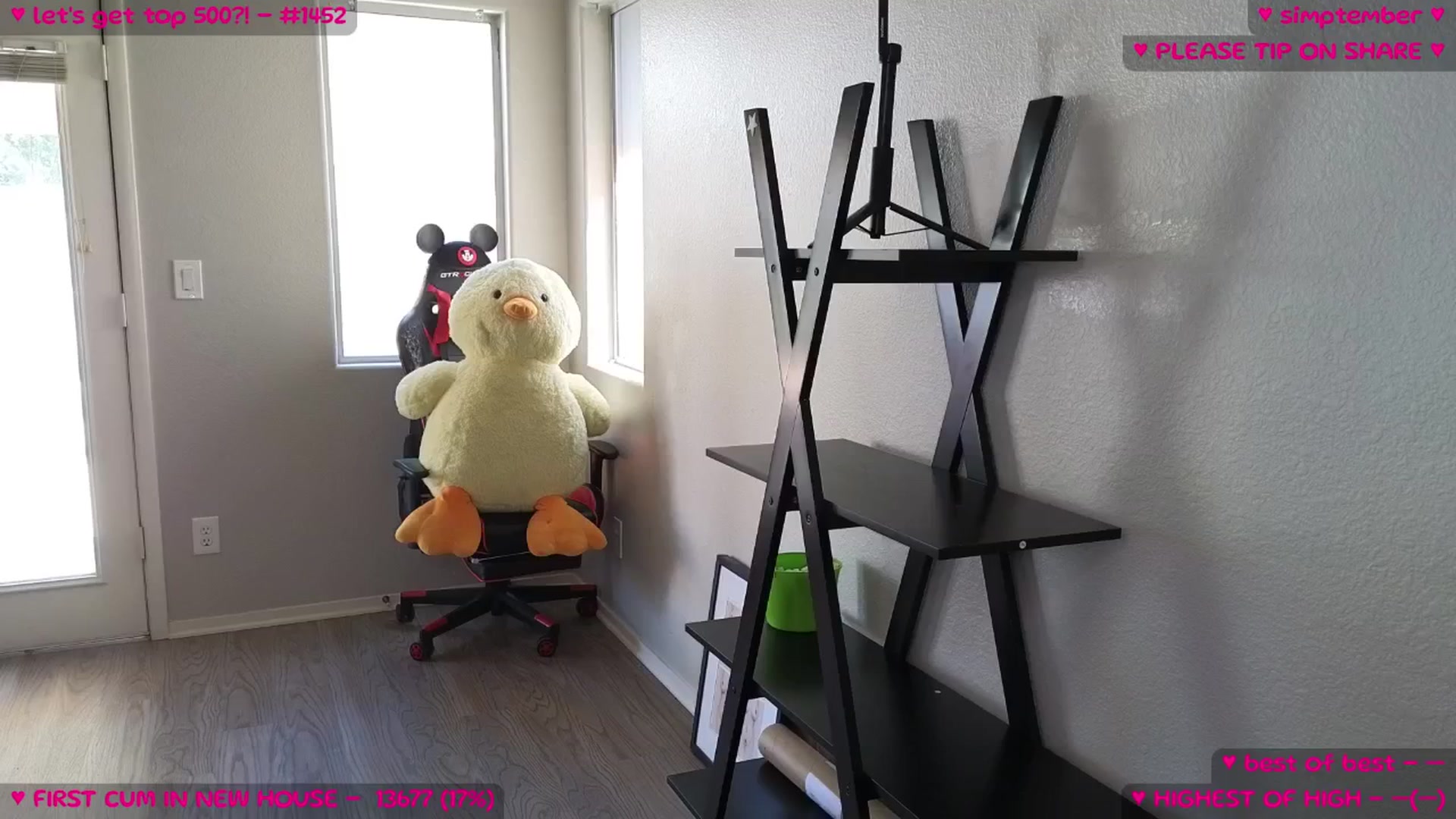 Gallery image thumbnail from MollyMeowz's myfreecams stream on, 09/06/2025, 18:17 image 6 of 20