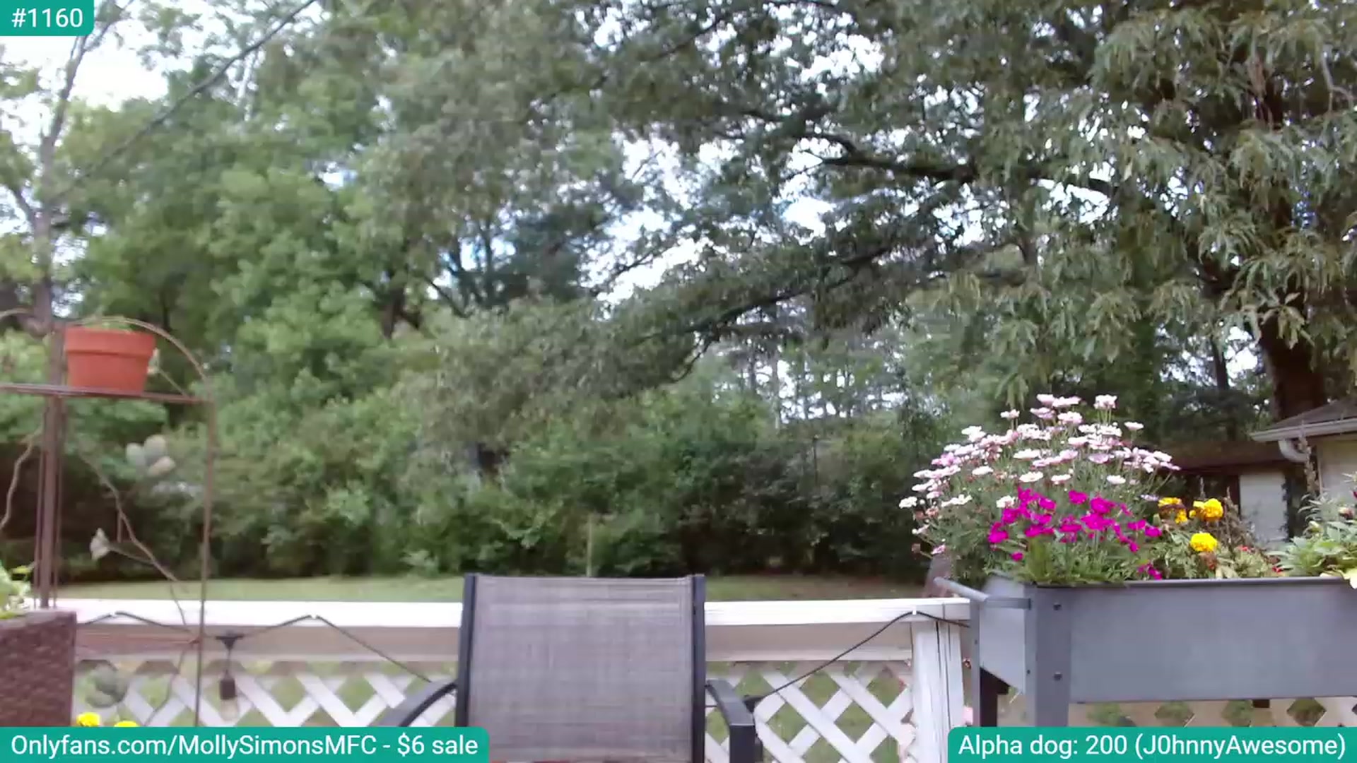 Gallery image thumbnail from MollySimons's myfreecams stream on, 05/19/2023, 18:02 image 12 of 20