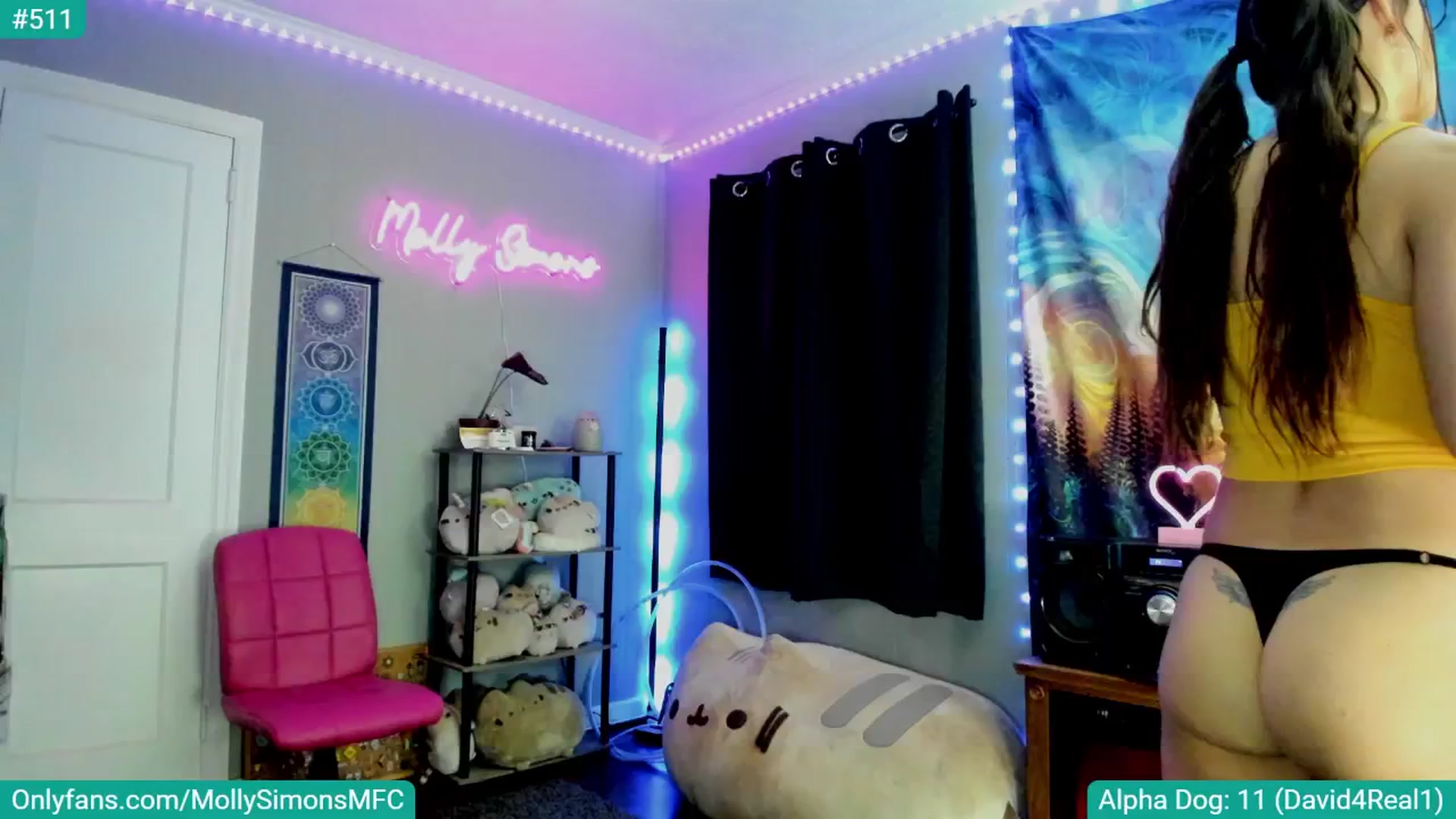 Gallery image thumbnail from MollySimons's myfreecams stream on, 05/27/2024, 03:41 image 13 of 20