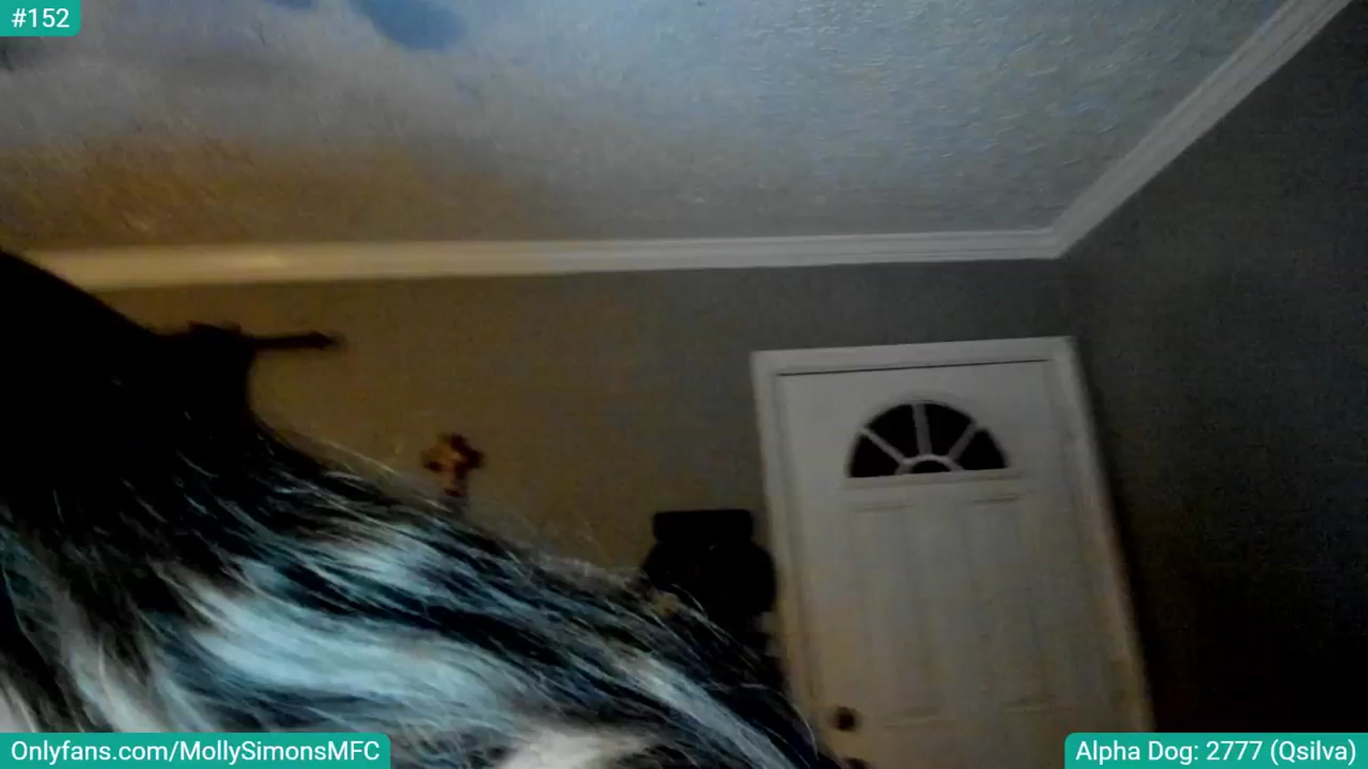 Gallery image thumbnail from MollySimons's myfreecams stream on, 07/02/2025, 04:30 image 4 of 20