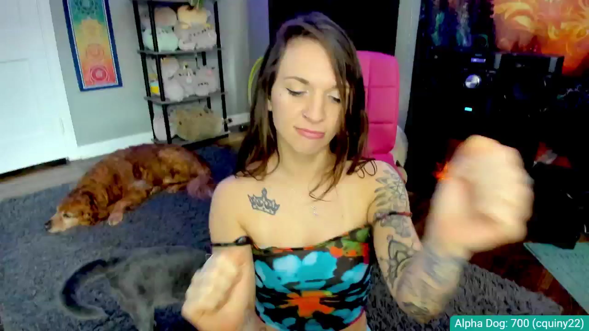 Gallery image thumbnail from MollySimons's myfreecams stream on, 03/08/2026, 22:09 image 10 of 20
