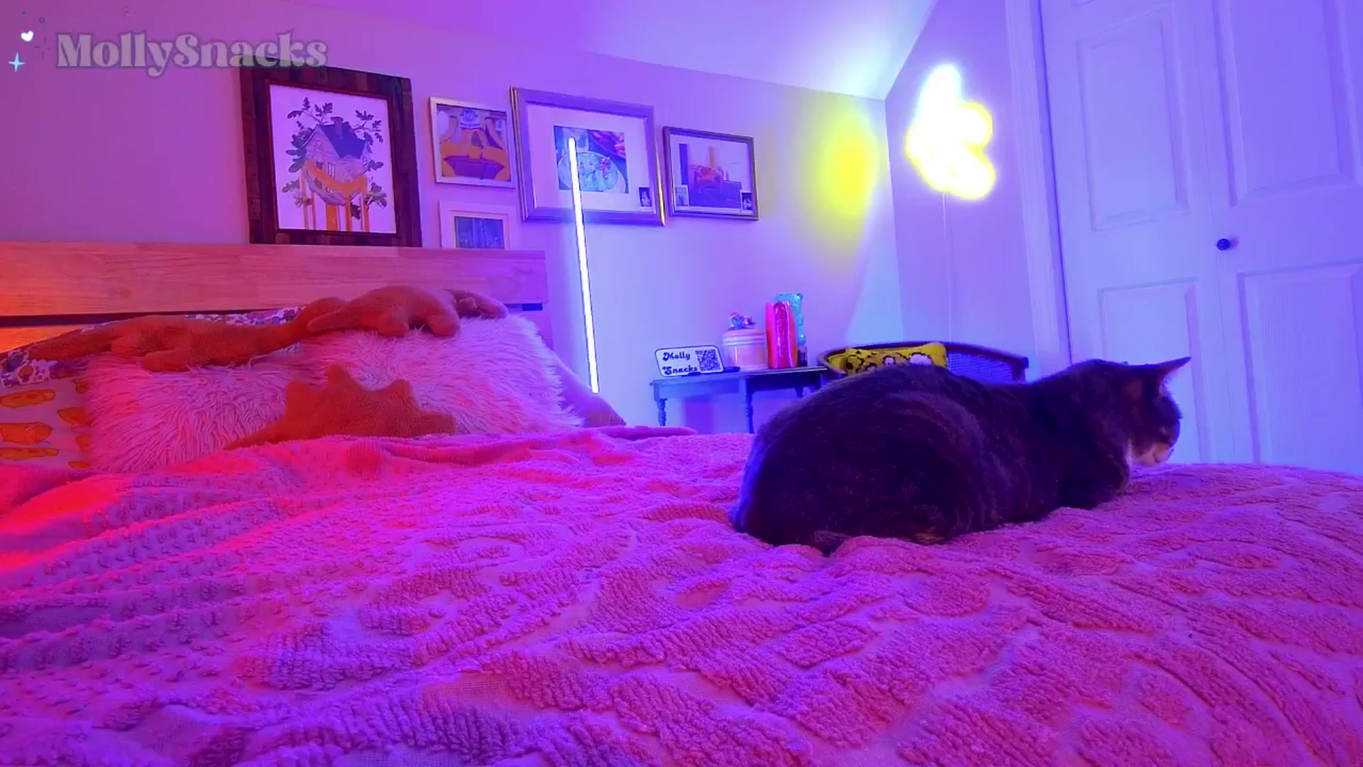 Gallery image thumbnail from MollySnacks's myfreecams stream on, 11/04/2025, 03:30 image 13 of 20