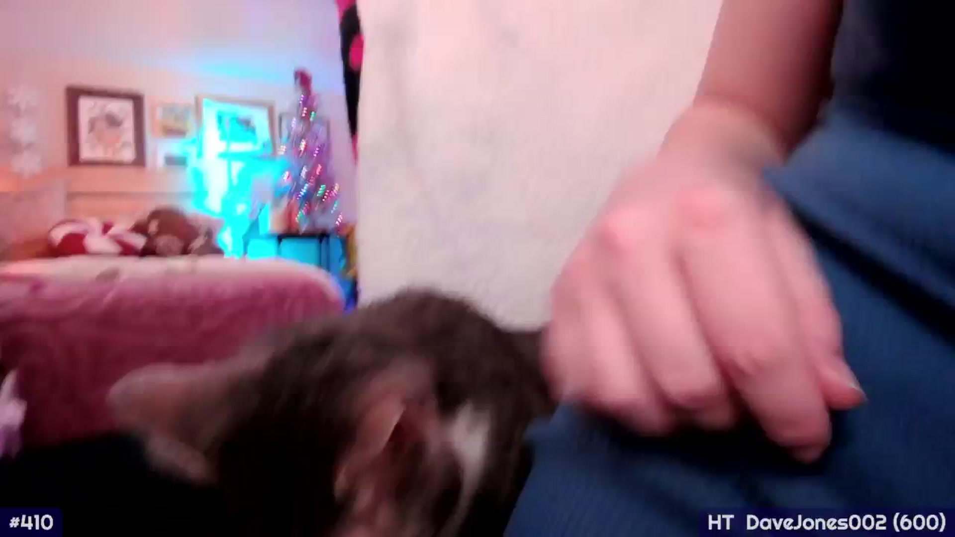 Gallery image thumbnail from MollySnacks's myfreecams stream on, 12/28/2025, 07:23 image 3 of 20