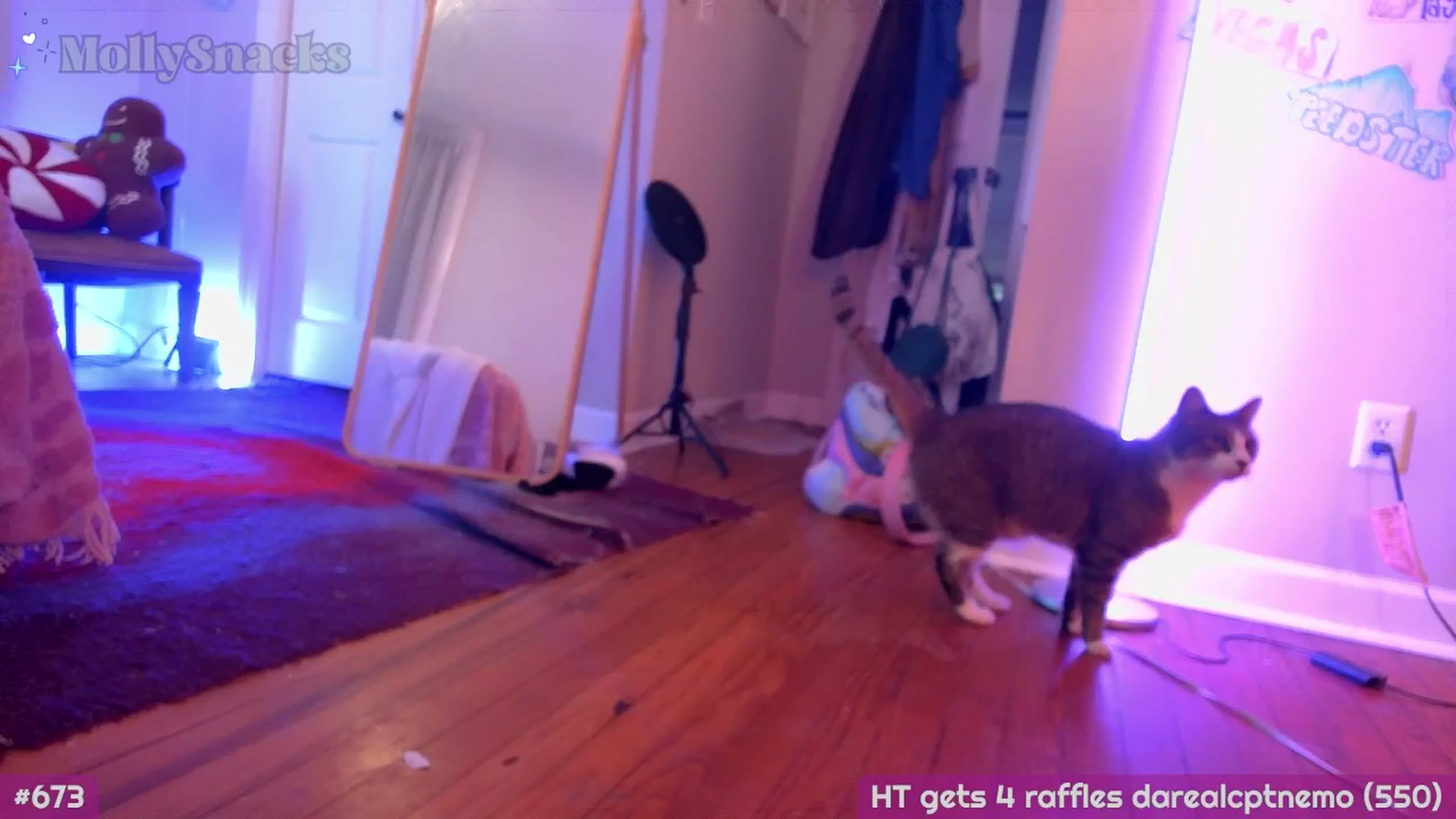 Gallery image thumbnail from MollySnacks's myfreecams stream on, 01/03/2026, 22:31 image 14 of 20
